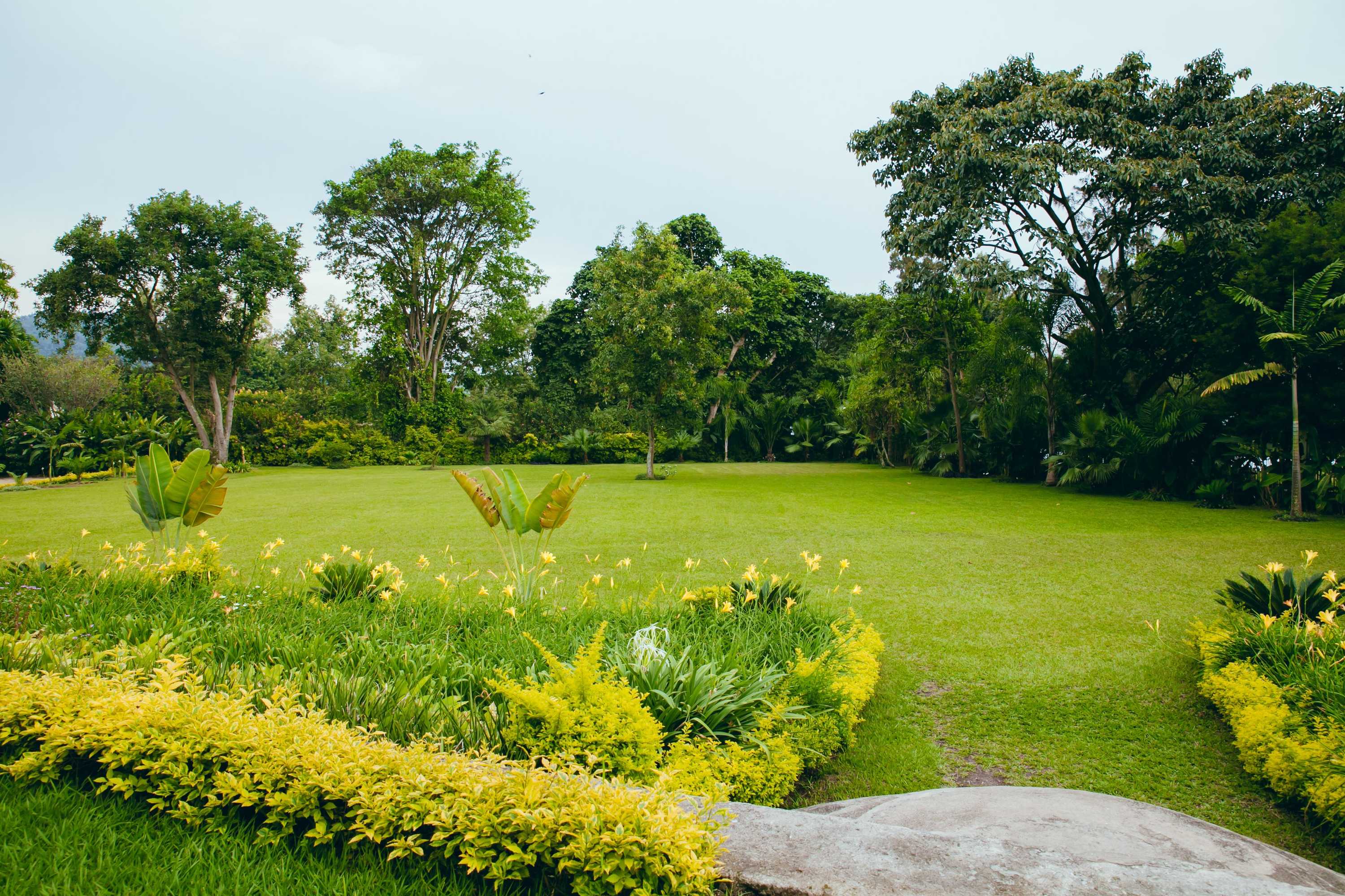 Gift card for Gorillas Lake Kivu Hotel Gift card for Gorillas Lake Kivu Hotel