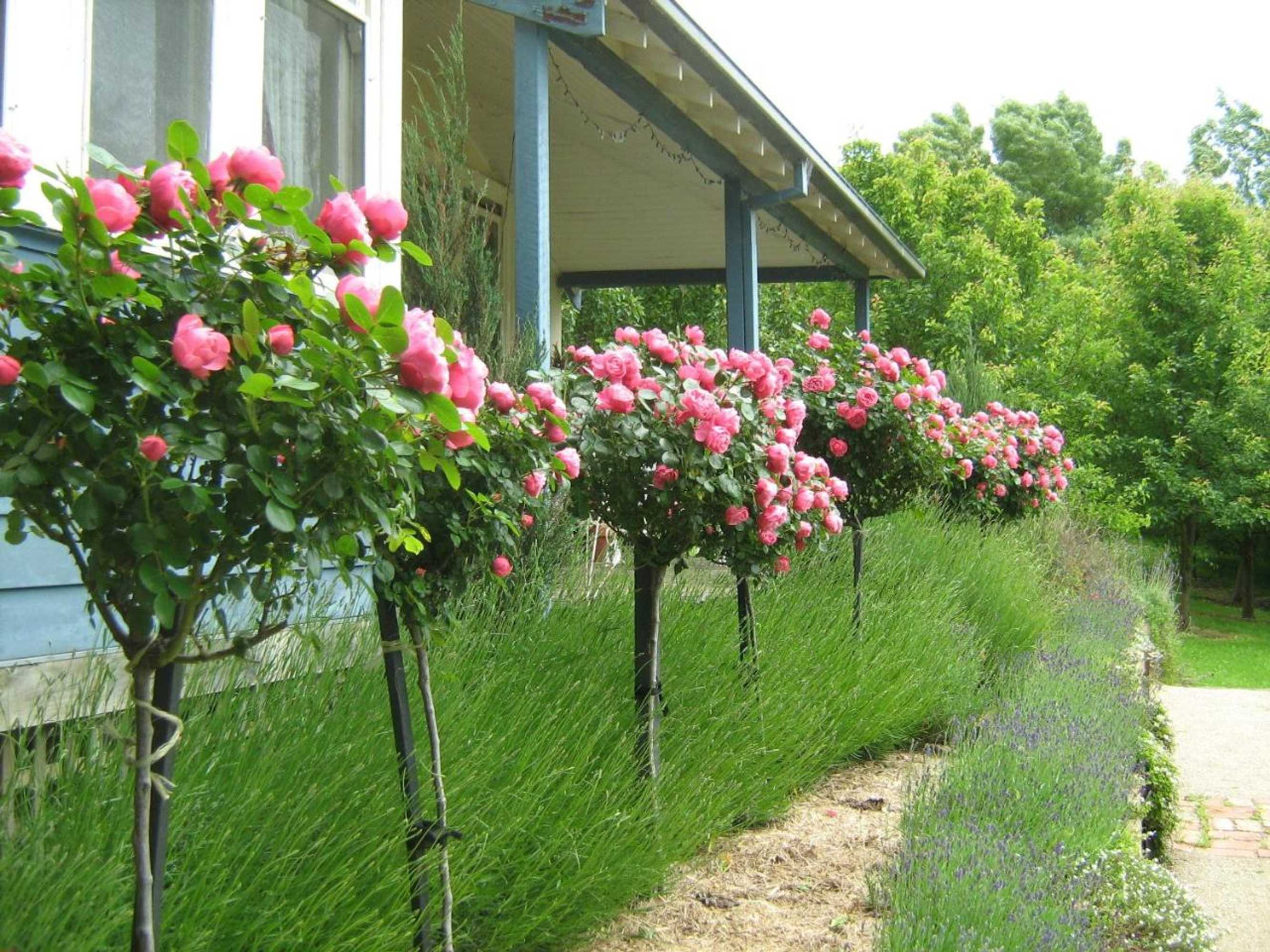 Gift card for Summerhill Farm B&b