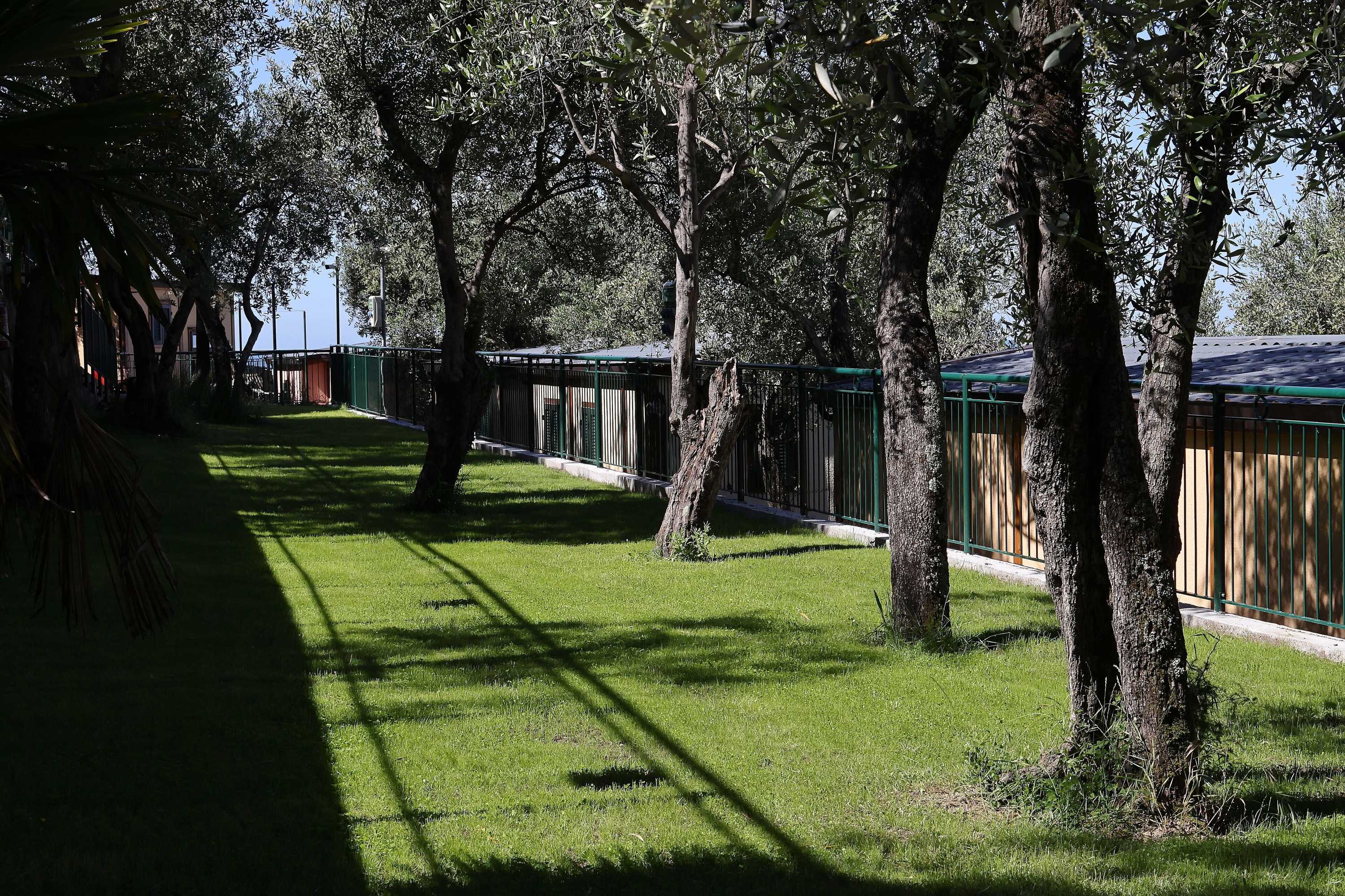 Gift card for Parco Vacanze Lo Scoglio Gift card for Parco Vacanze Lo Scoglio