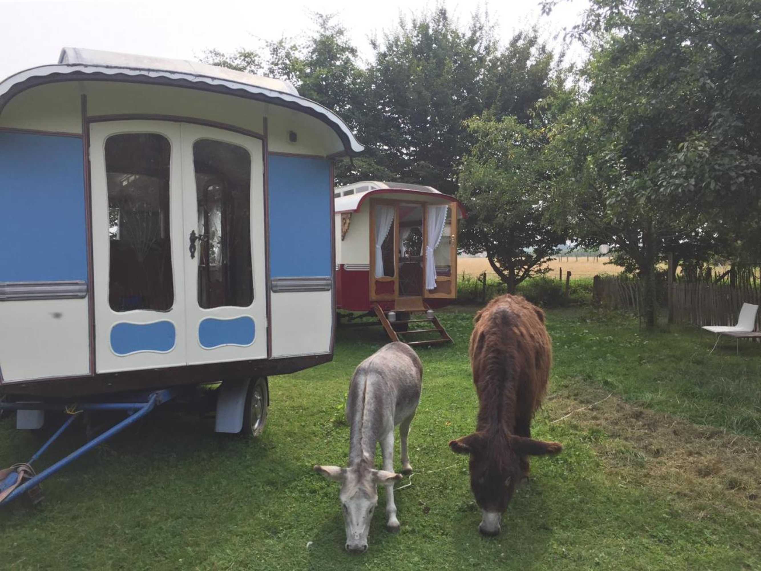 Gift card for B&b Vennehoeve