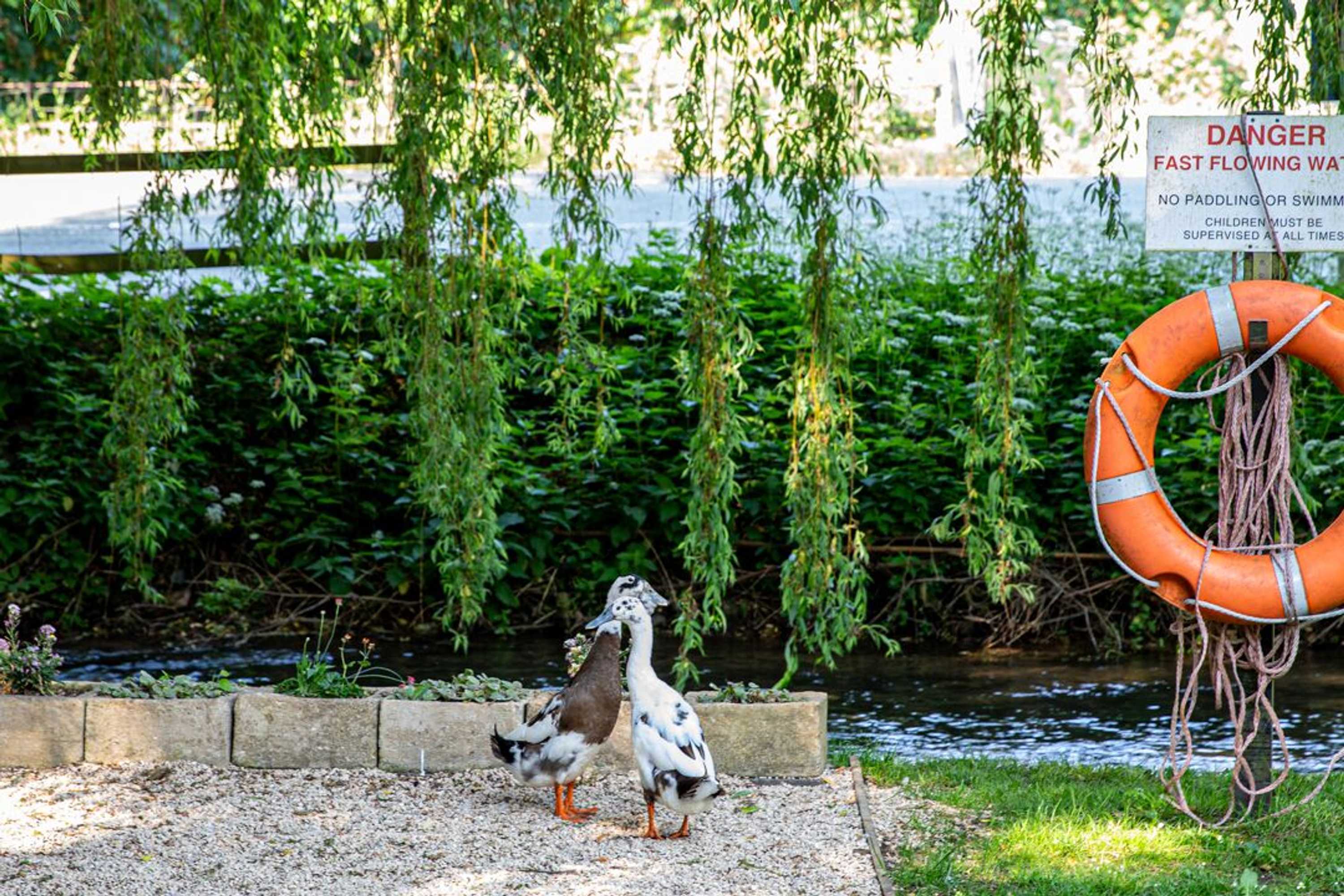 Gift card for The Bathurst Arms Gift card for The Bathurst Arms