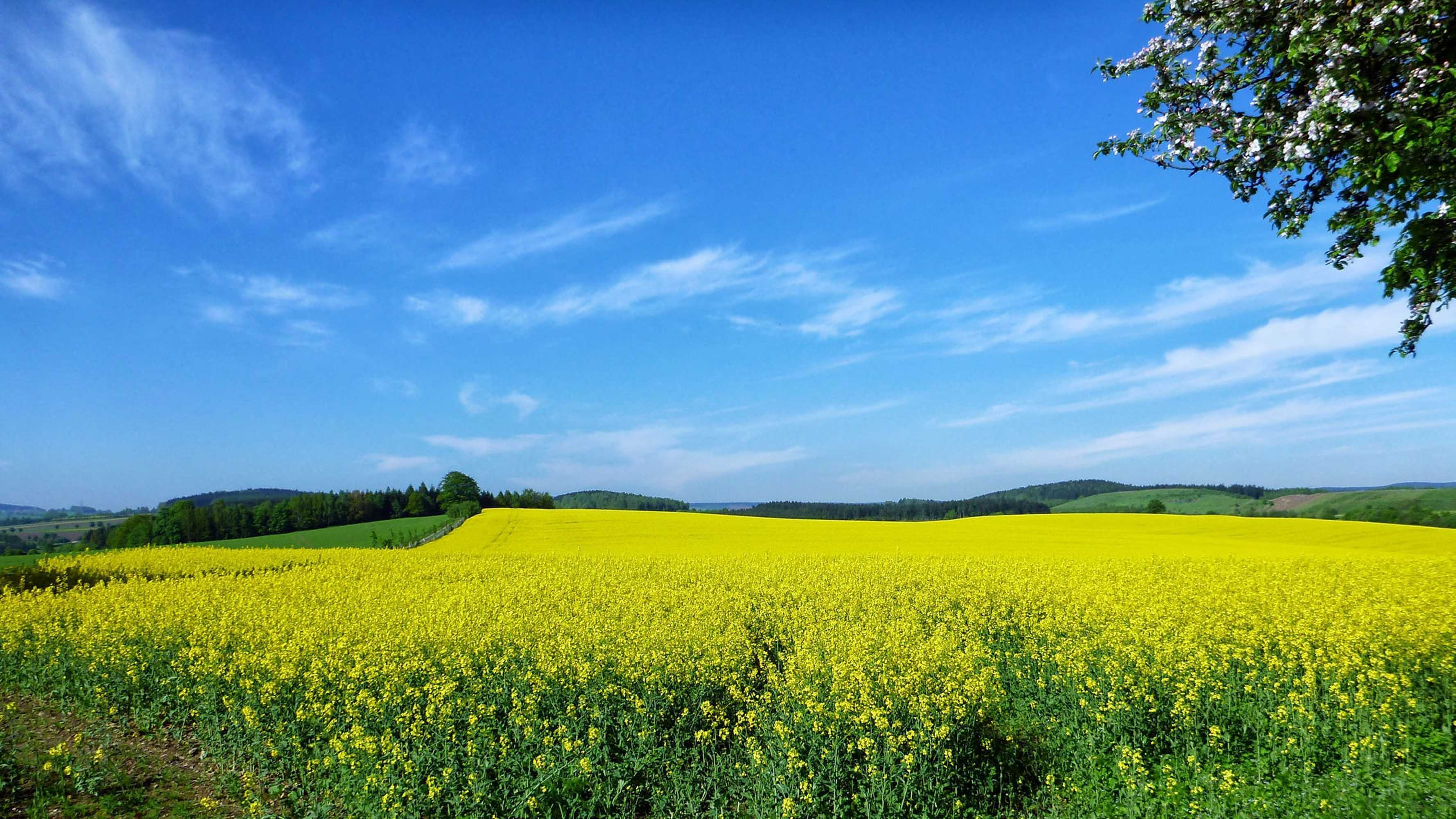 Gift card for Ferienhaus Drebach