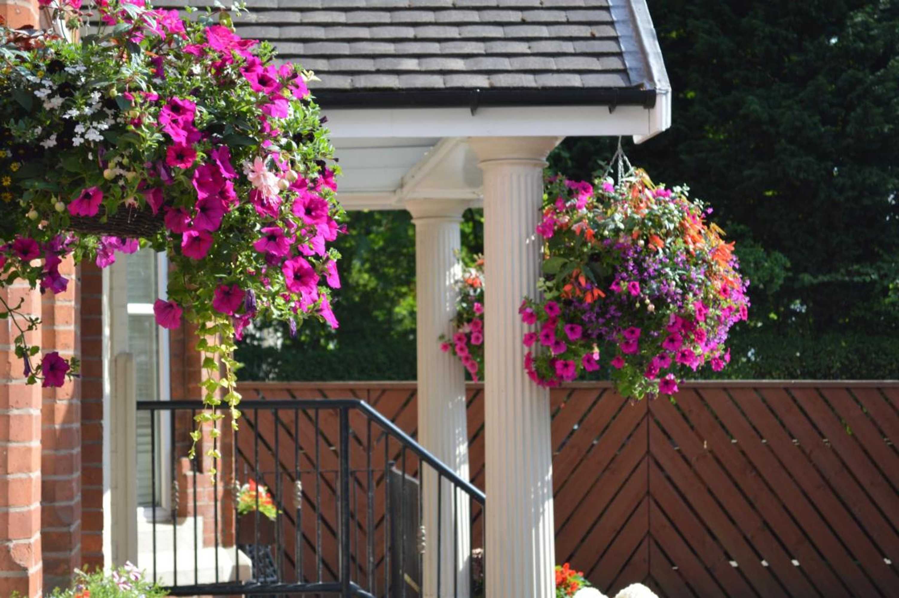 Gift card for The Westlynne Hotel & Apartments