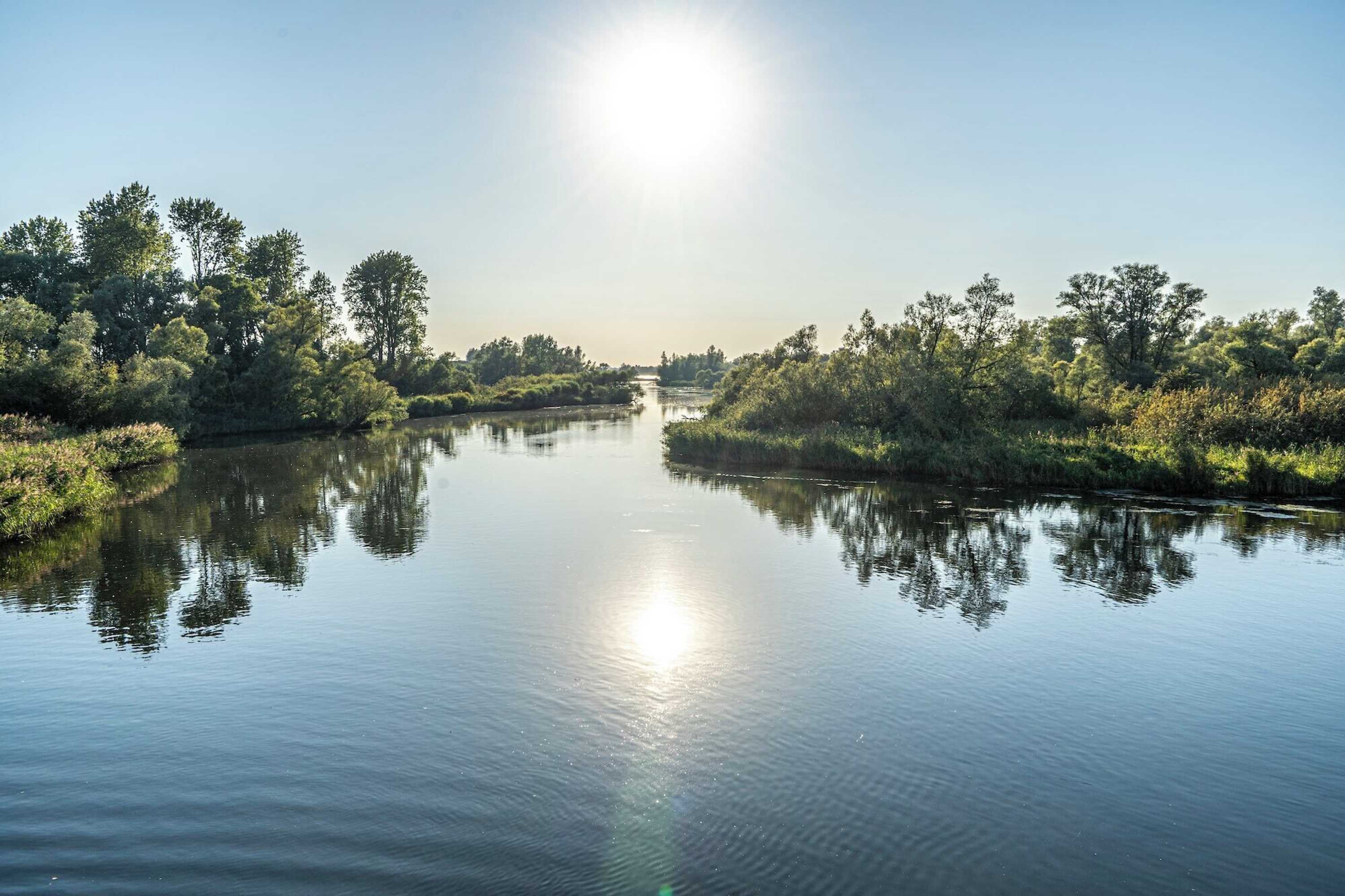 Gift card for De Brabantse Biesbosch