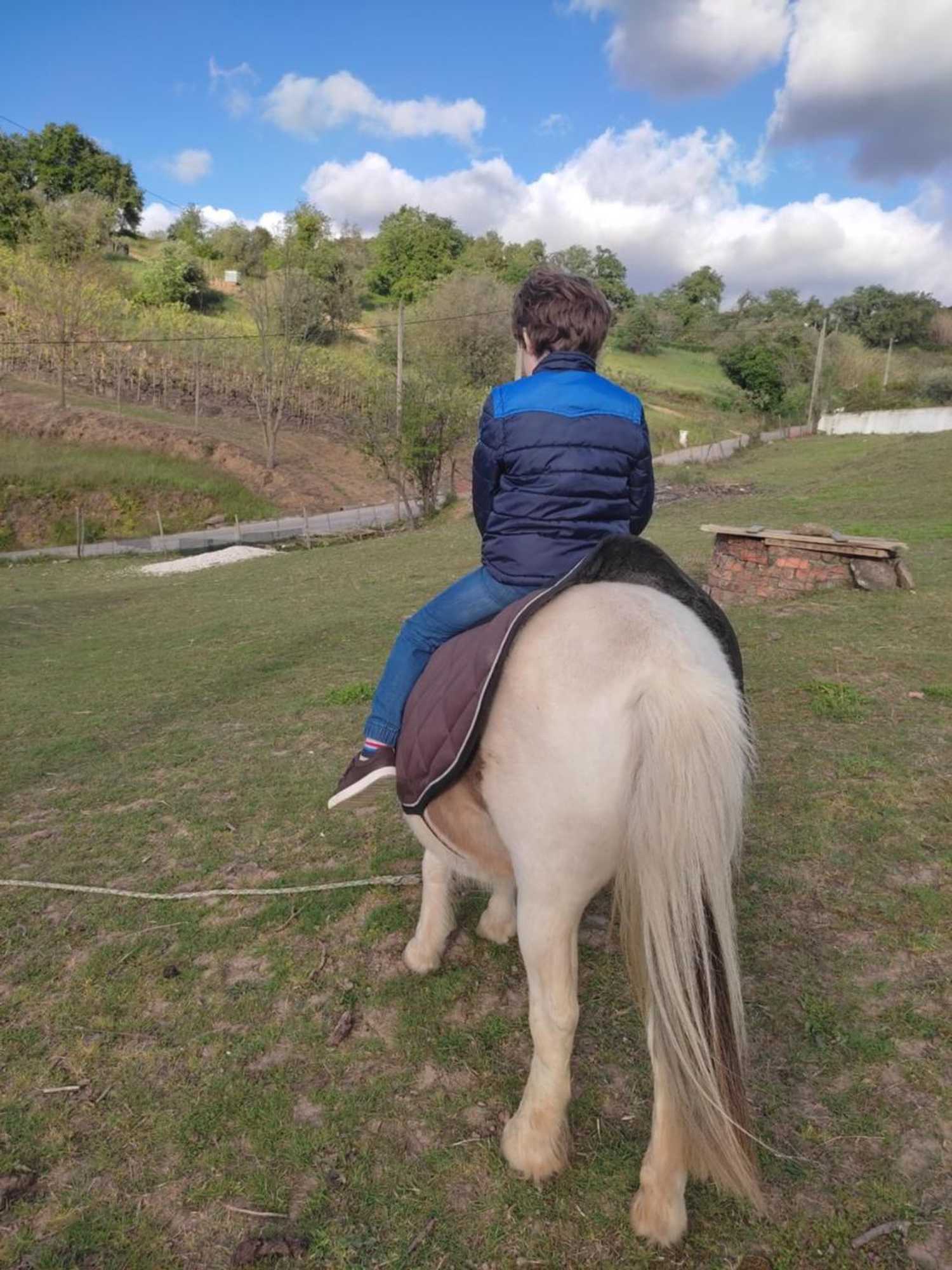 Gift card for Nature Et Al House Gift card for Nature Et Al House