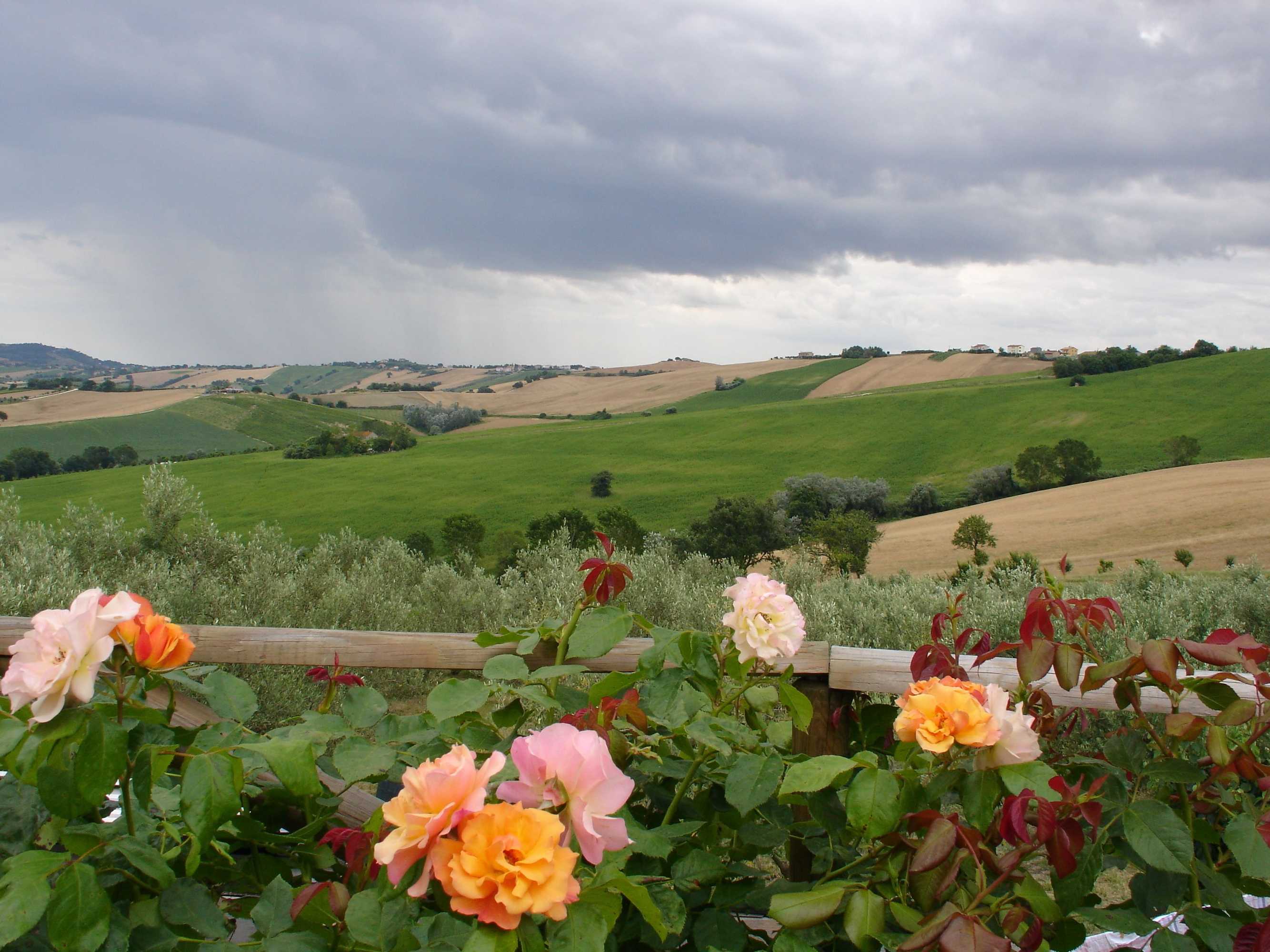 Gift card for Al Crepuscolo Agriturismo Gift card for Al Crepuscolo Agriturismo