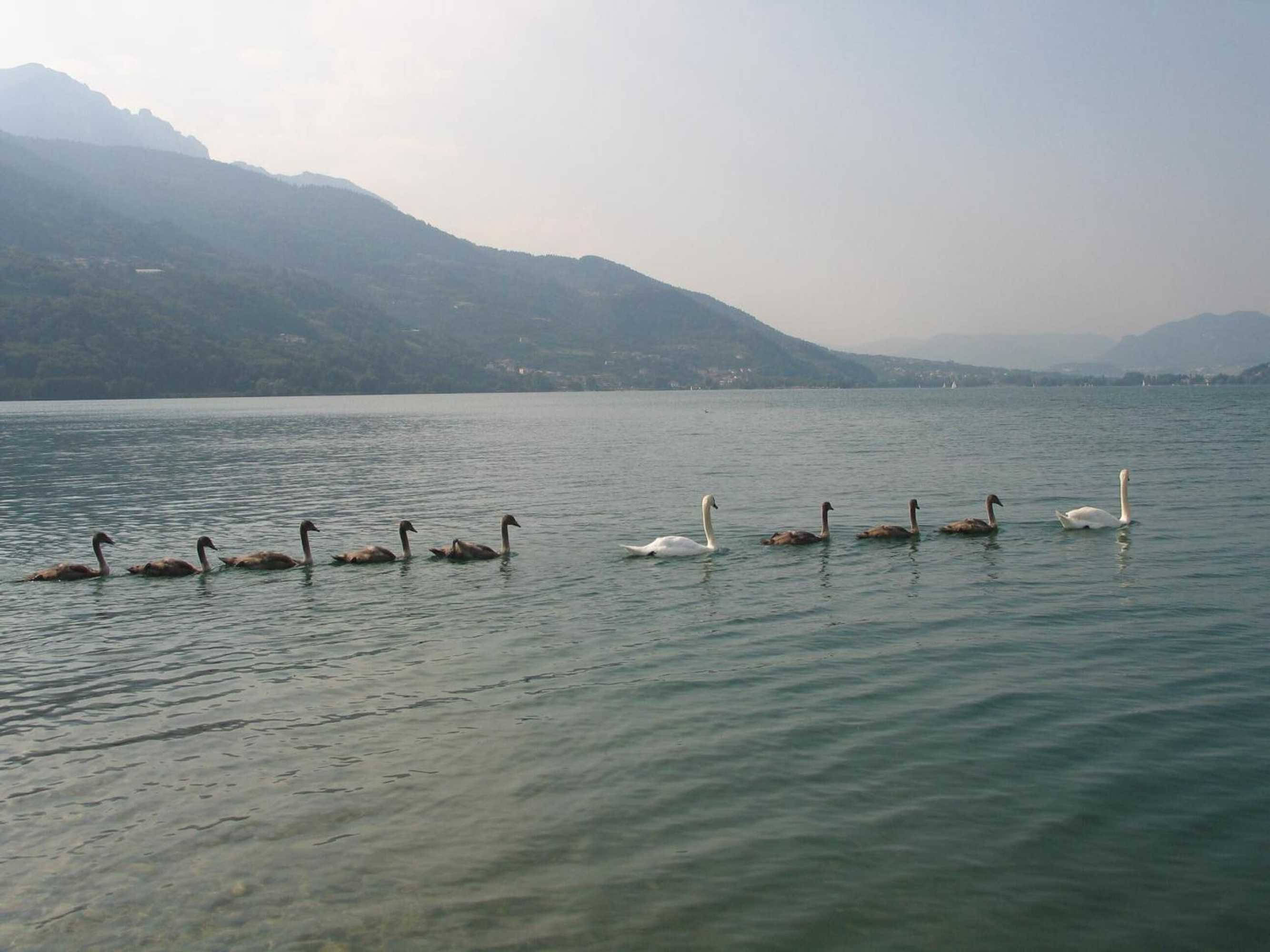 Gift card for Hotel Dolomiti Levico