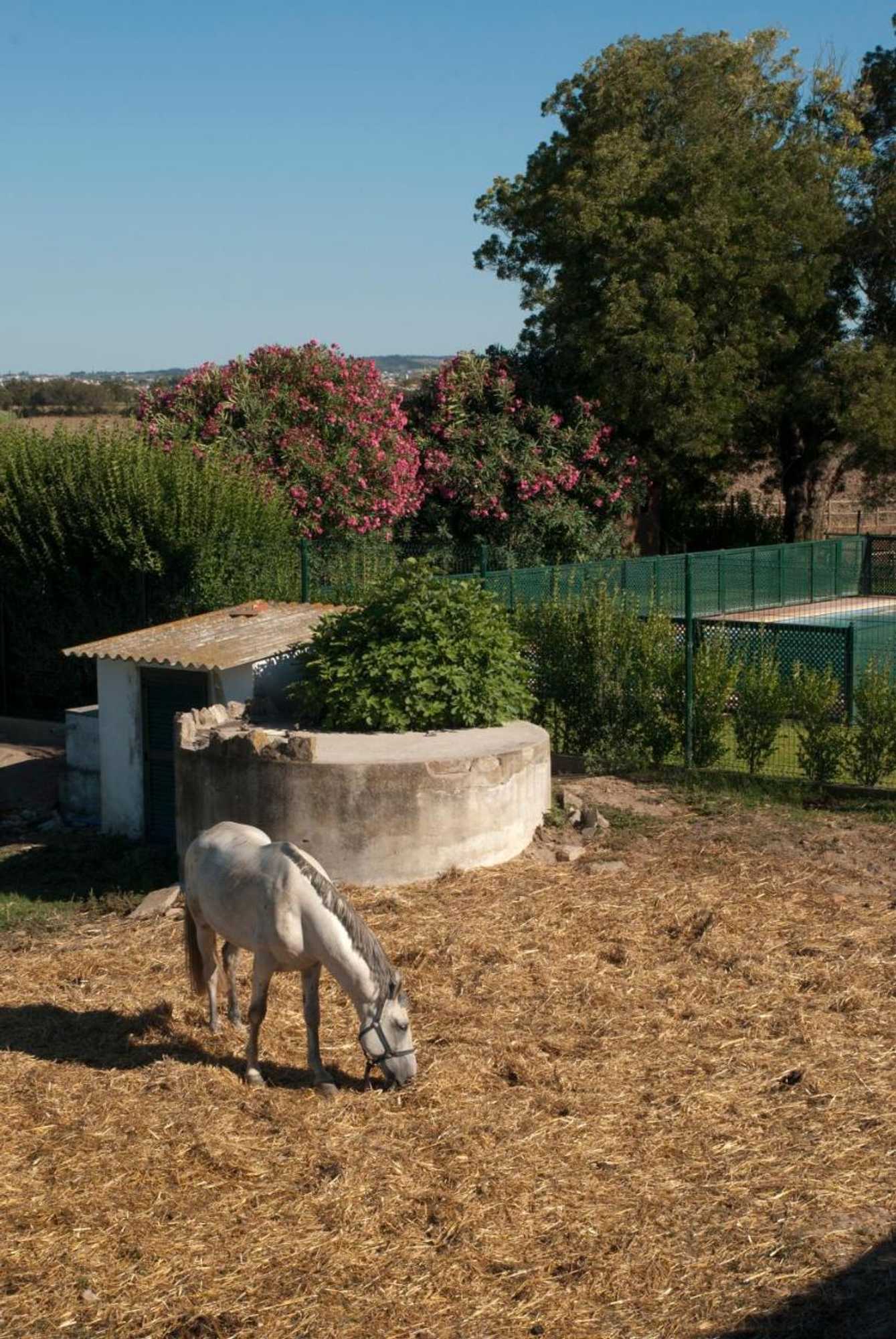 Gift card for Quinta da Gafaria