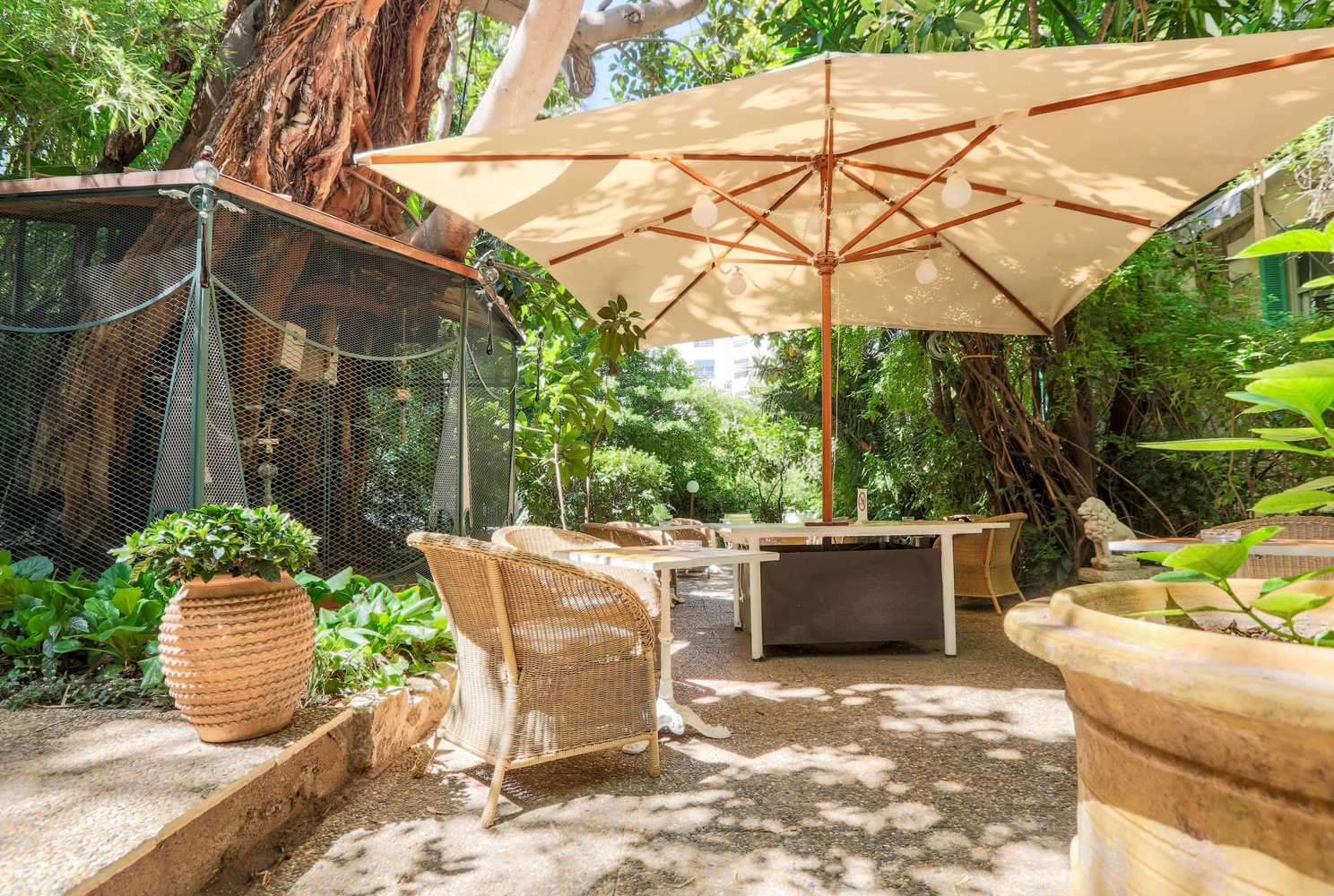 Gift card for Le Windsor, Jungle Art Hotel Gift card for Le Windsor, Jungle Art Hotel