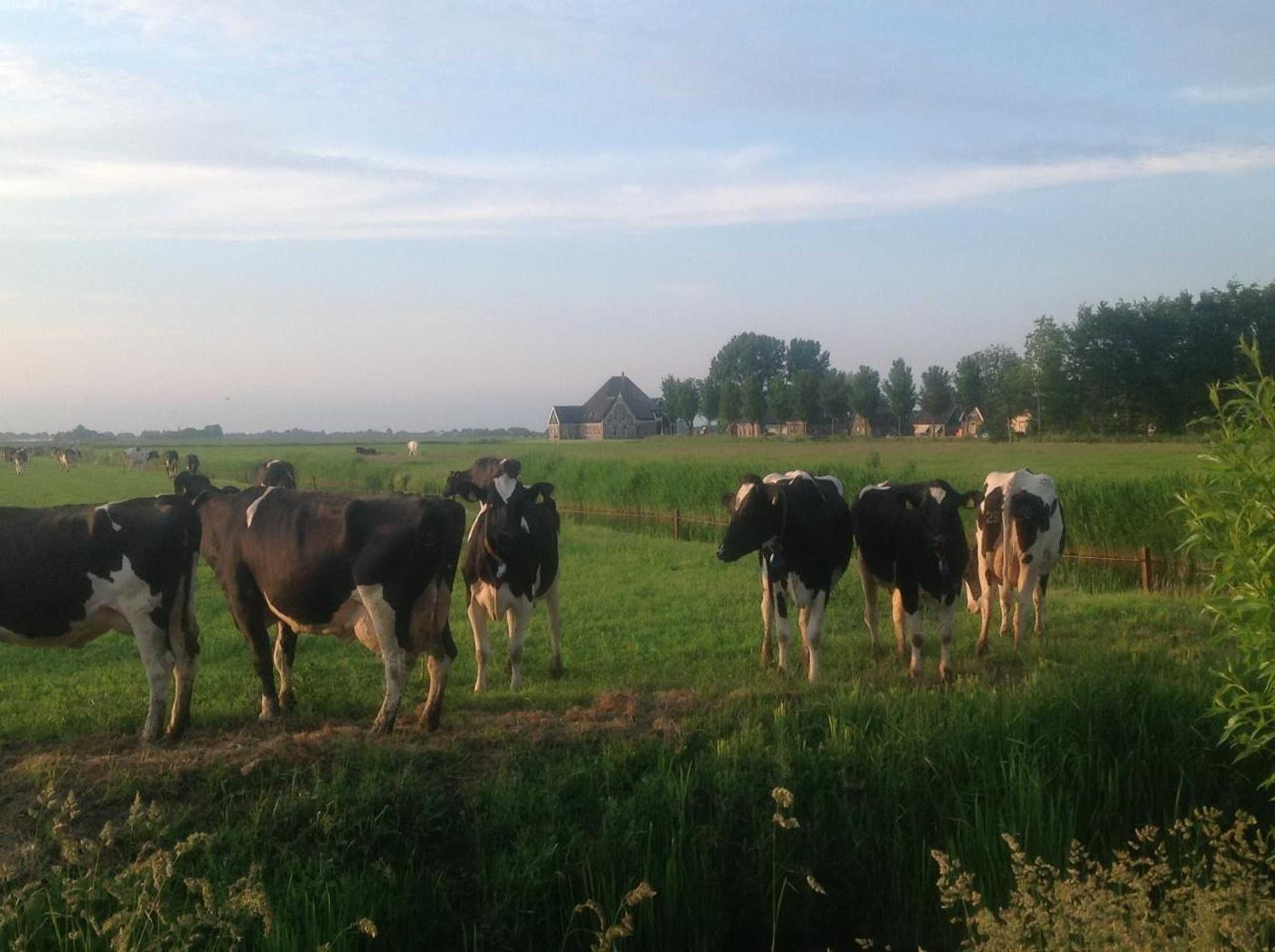 Gift card for B&b Ben in Broek