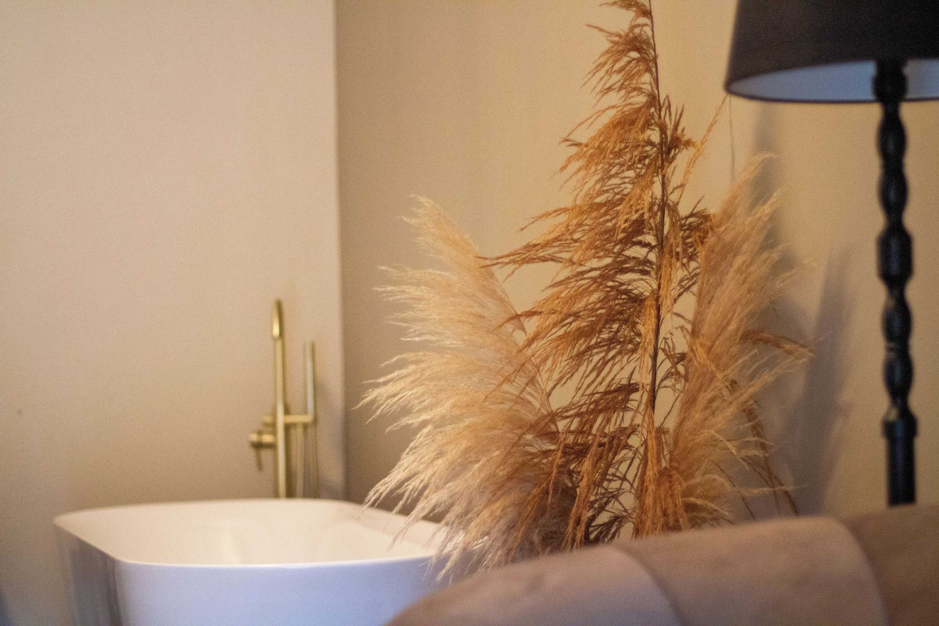 Gift card for Logement In De Peel