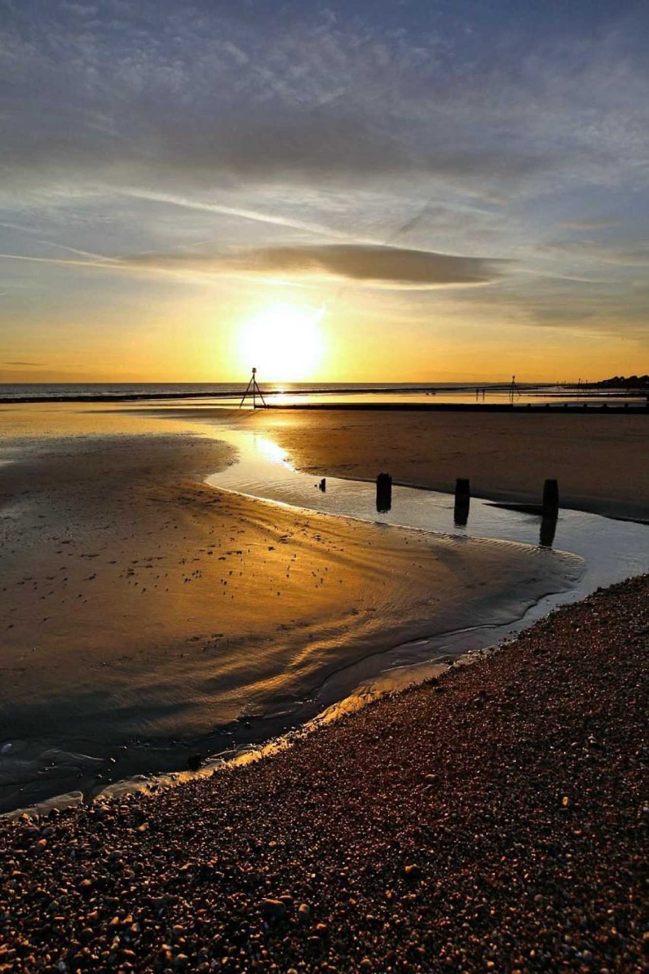 Gift card for The Elmer