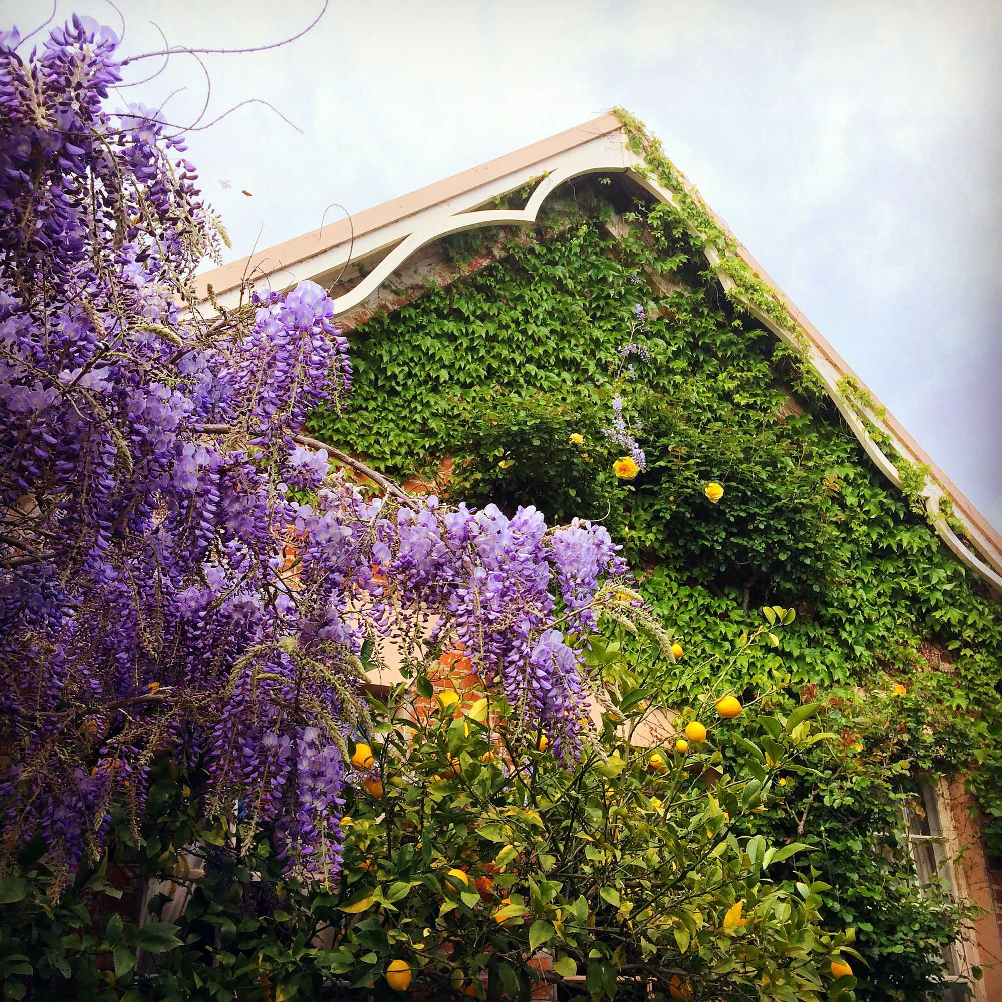 Gift card for The Racecourse Inn