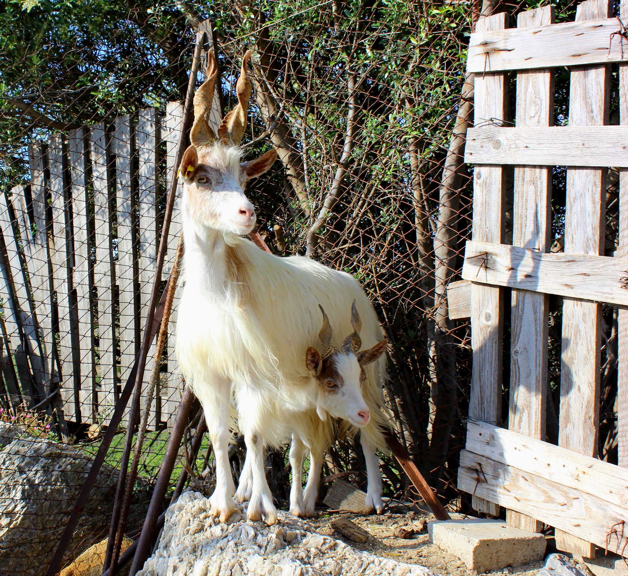 Gift card for Agriturismo La Casa di Bacco