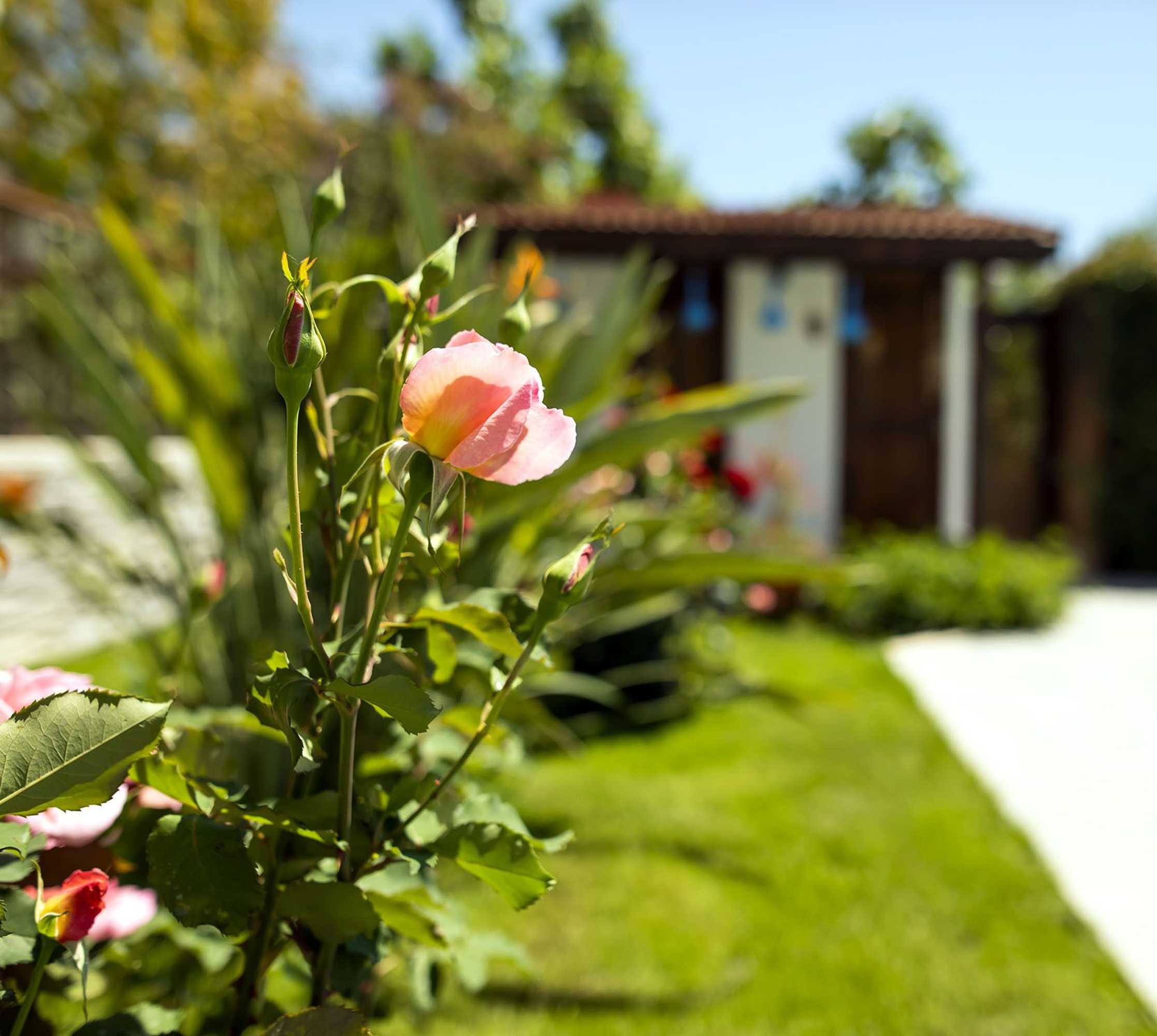 Gift card for Kerem Apart Hotel Gocek Gift card for Kerem Apart Hotel Gocek