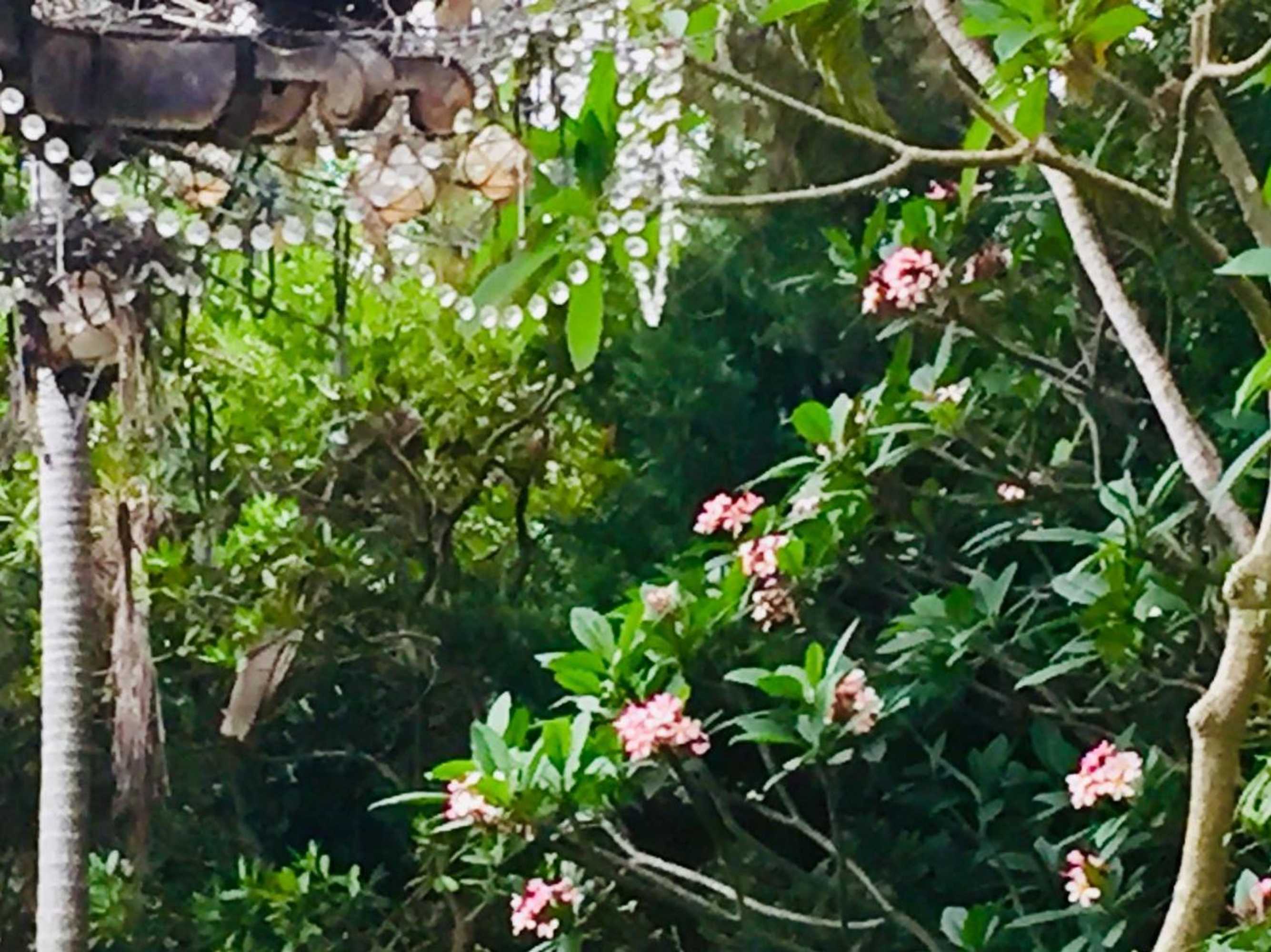 Gift card for Sensom Luxury Boutique Bed And Breakfast