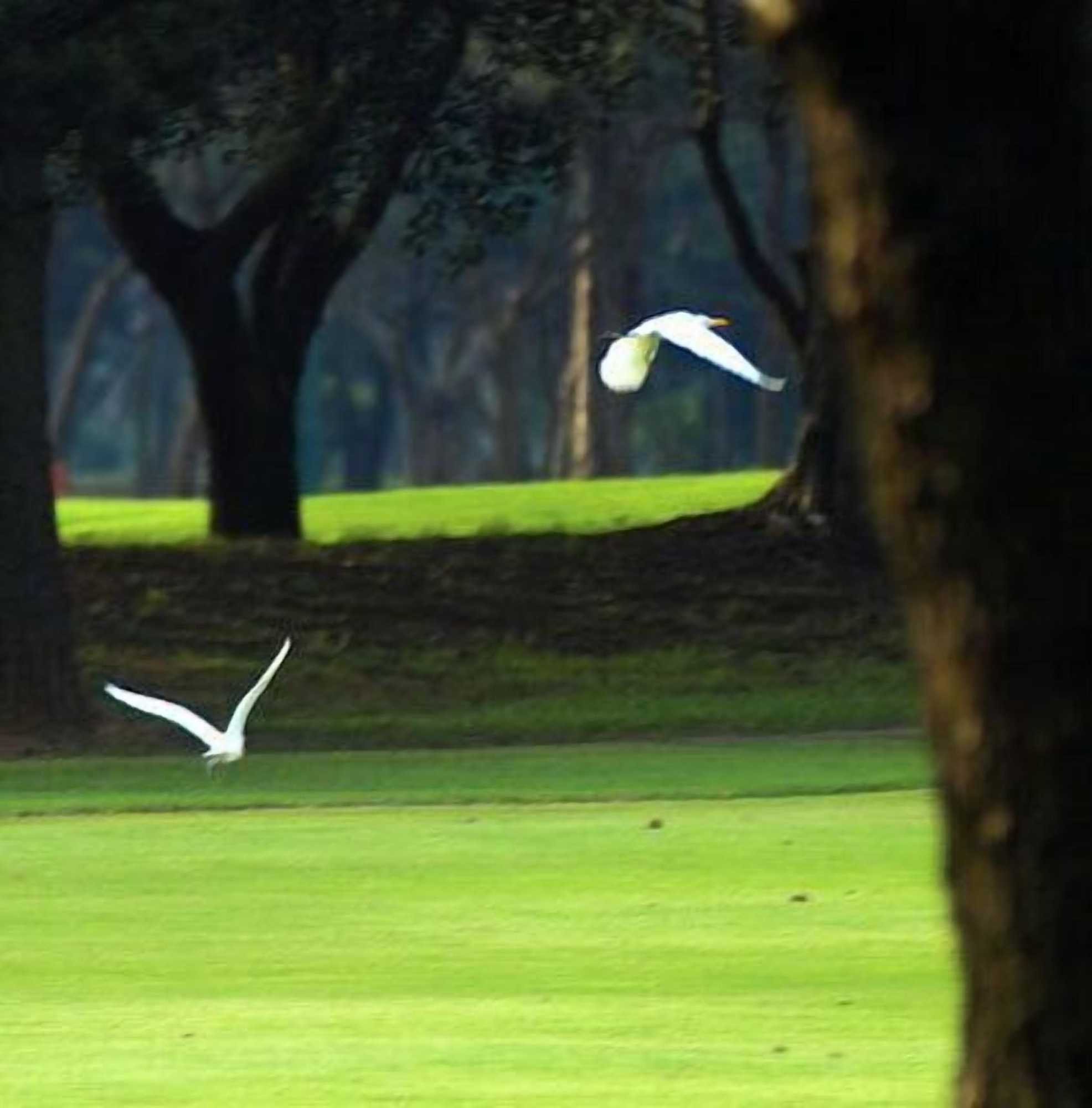 Gift card for Tao Yuan Golf & Country Club Yaward Resort