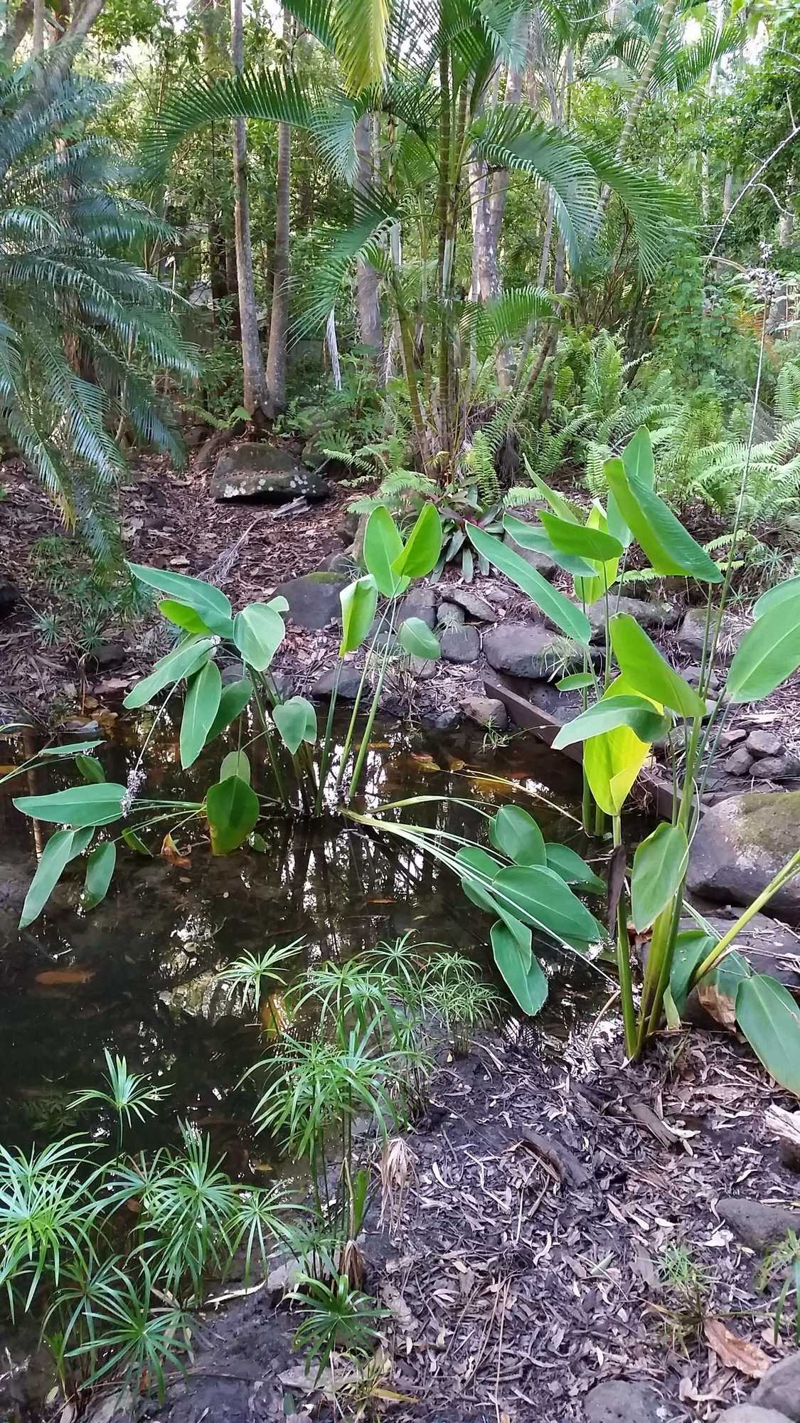 Gift card for Hunchy Hideaway Gift card for Hunchy Hideaway