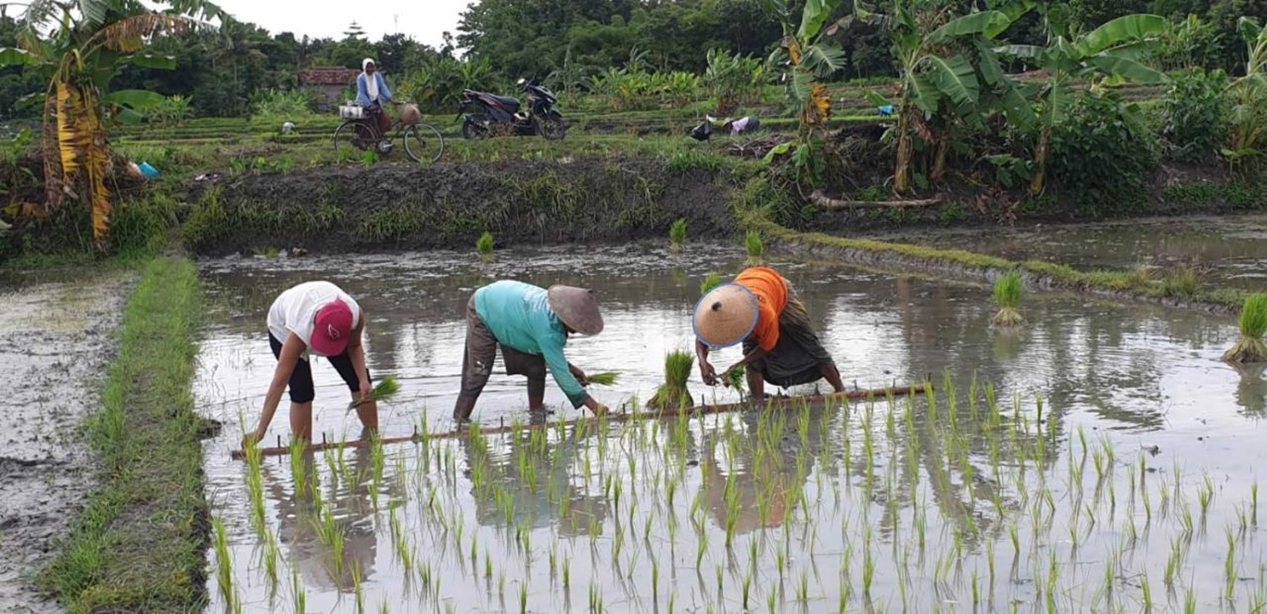 Gift card for Villa Kayu Yogyakarta