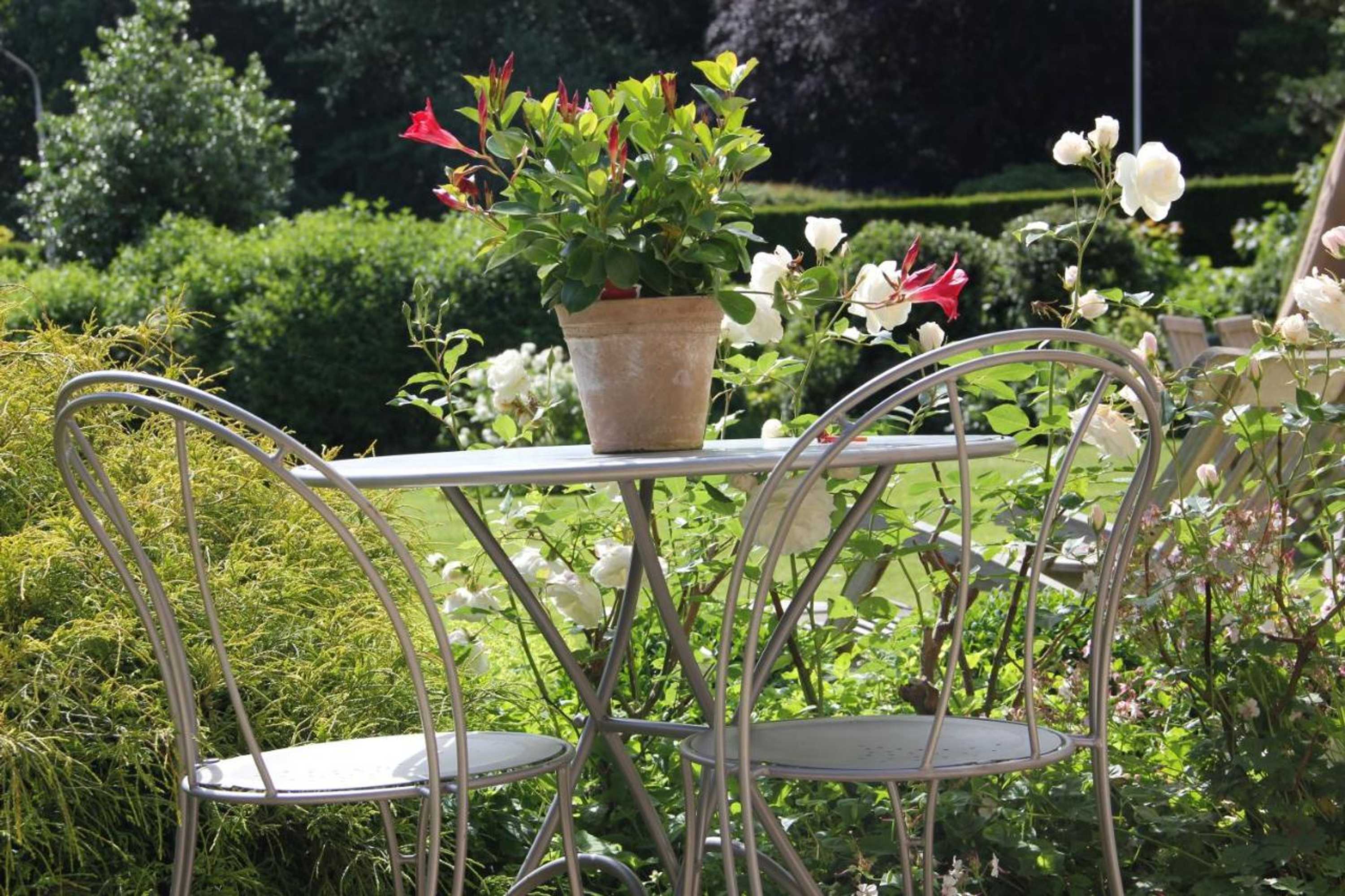 Gift card for L'orangerie Bed & Breakfast Gift card for L'orangerie Bed & Breakfast