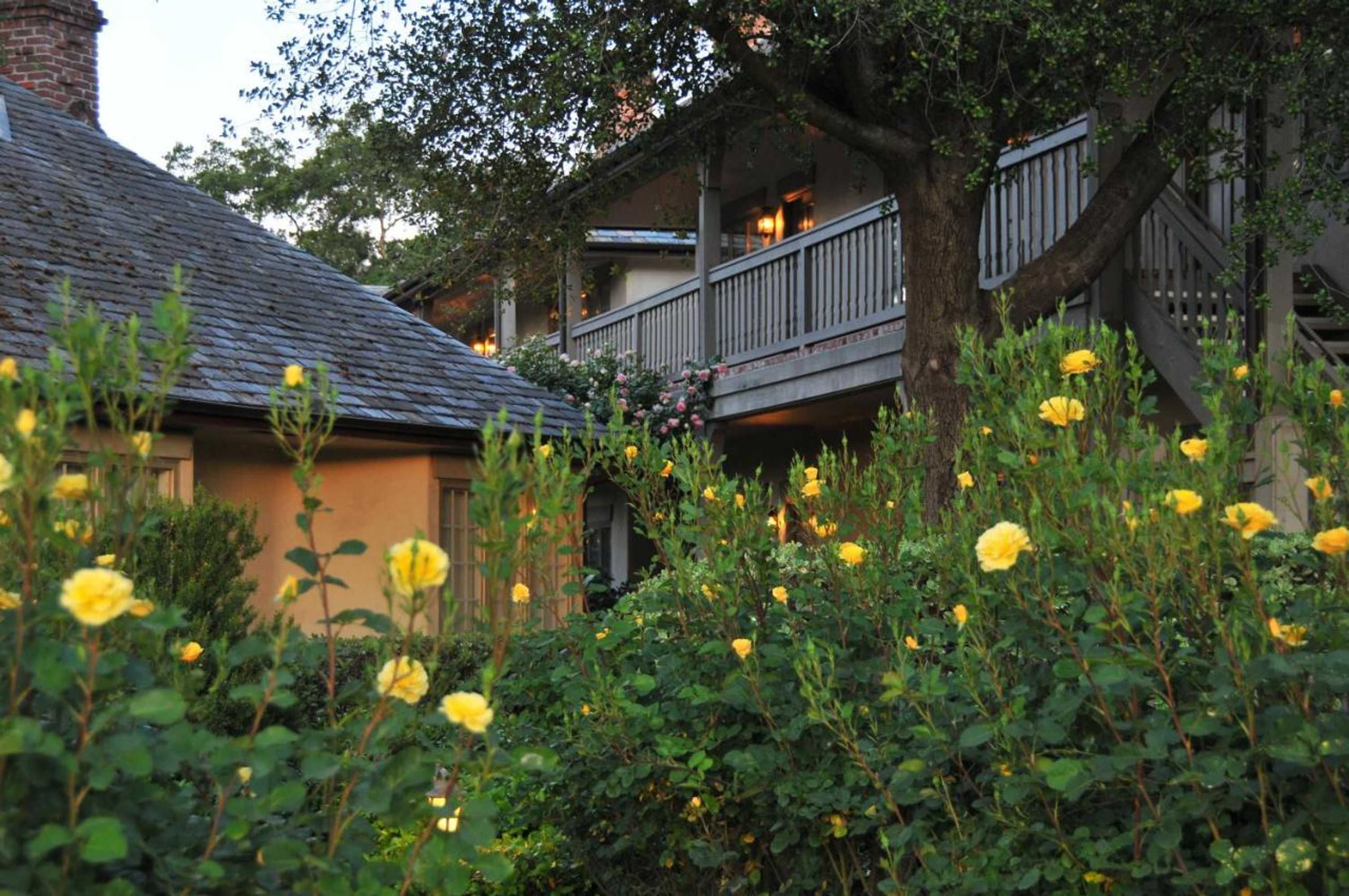 Gift card for Vineyard Country Inn