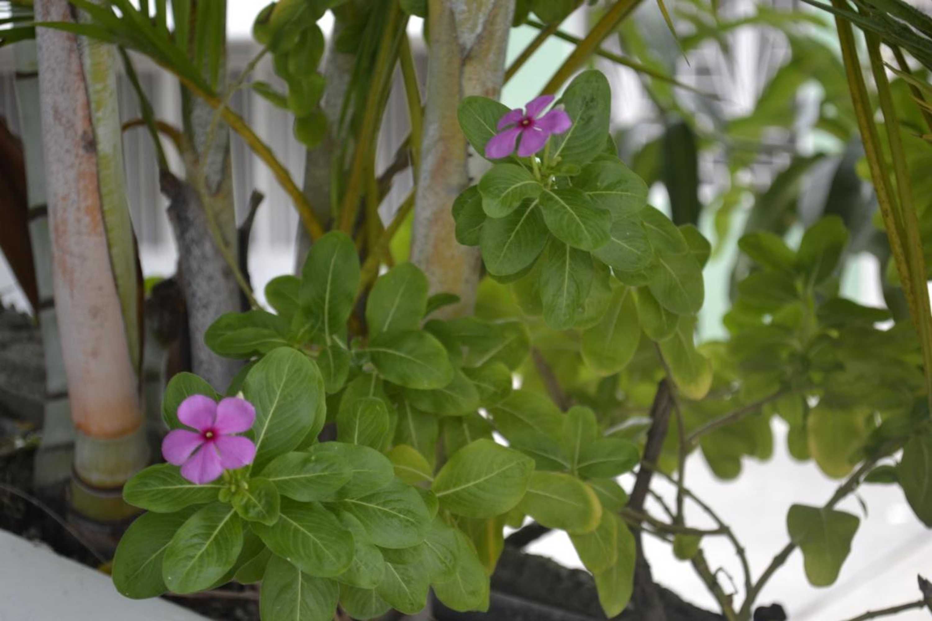 Gift card for Hotel Mirador de San Jorge