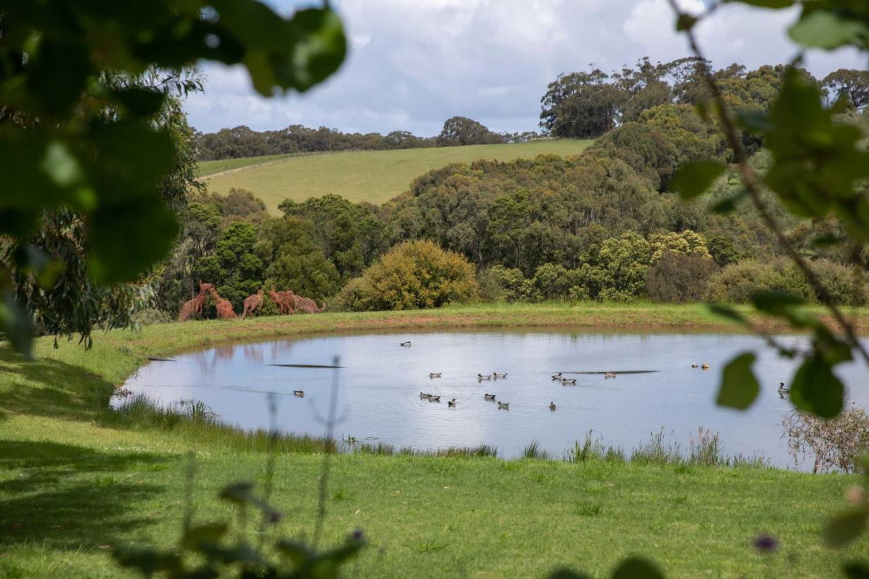 Gift card for Hart's Farm