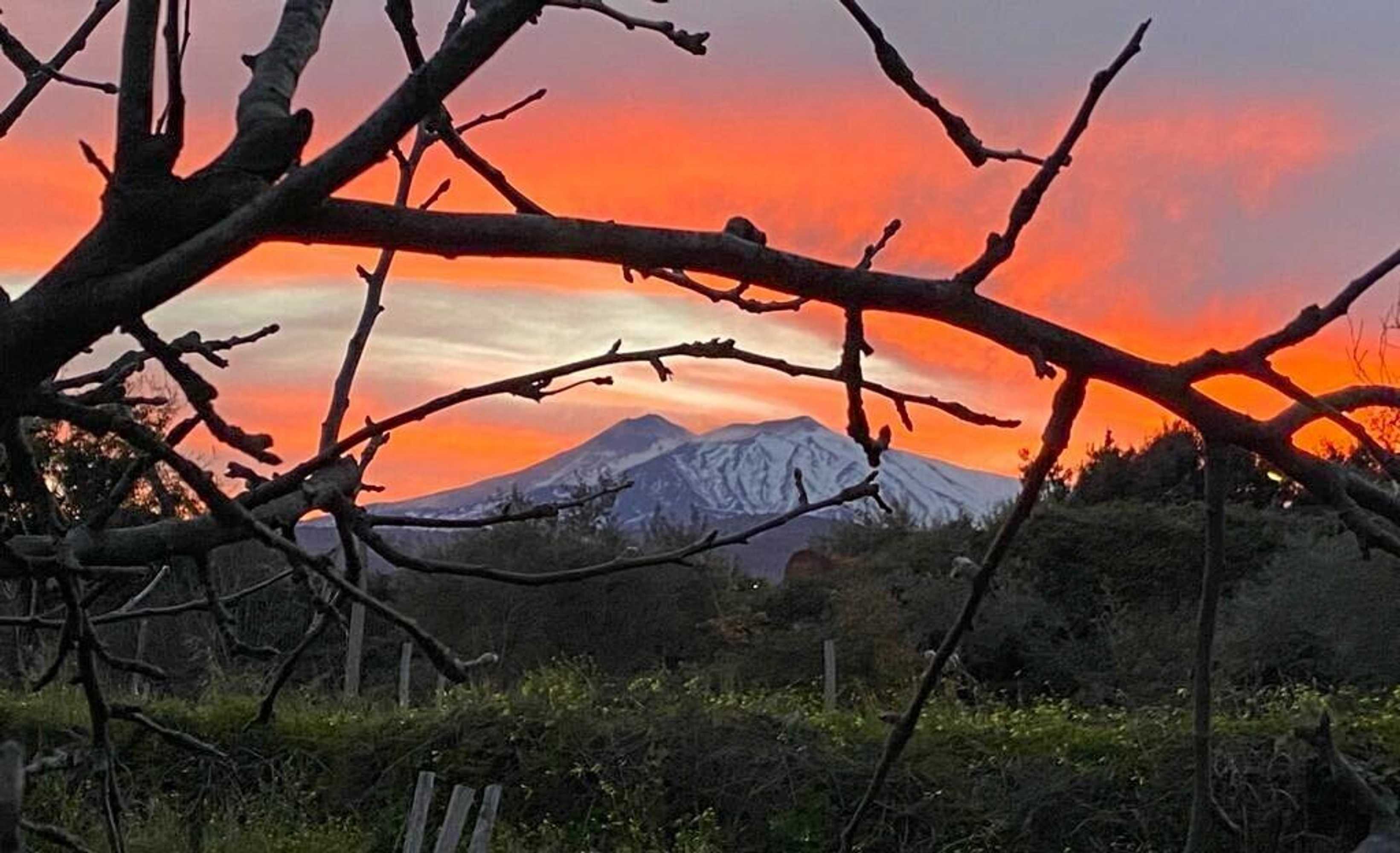 Gift card for Agriturismo Etna-Mare