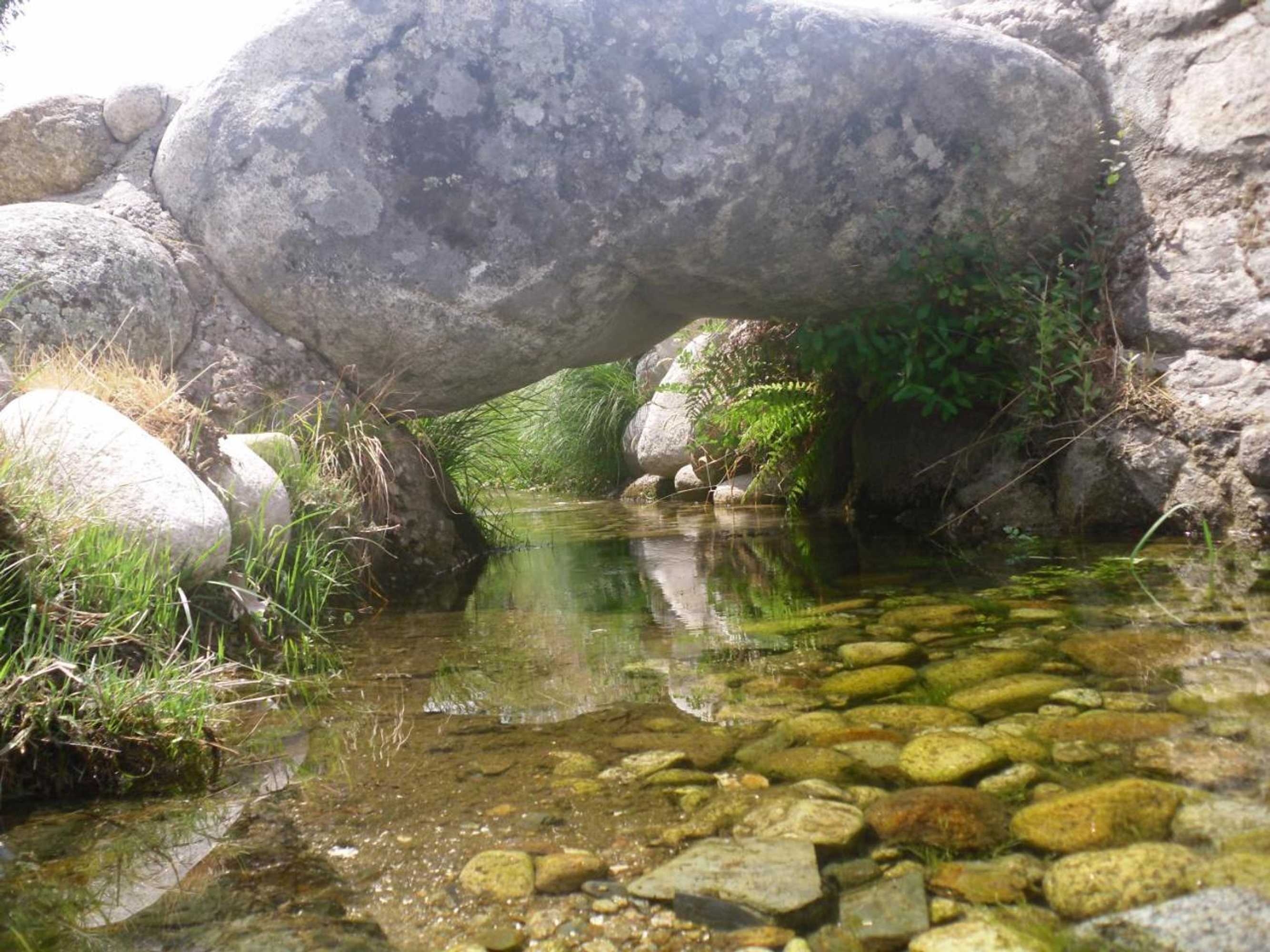 Gift card for Pensão Estrela