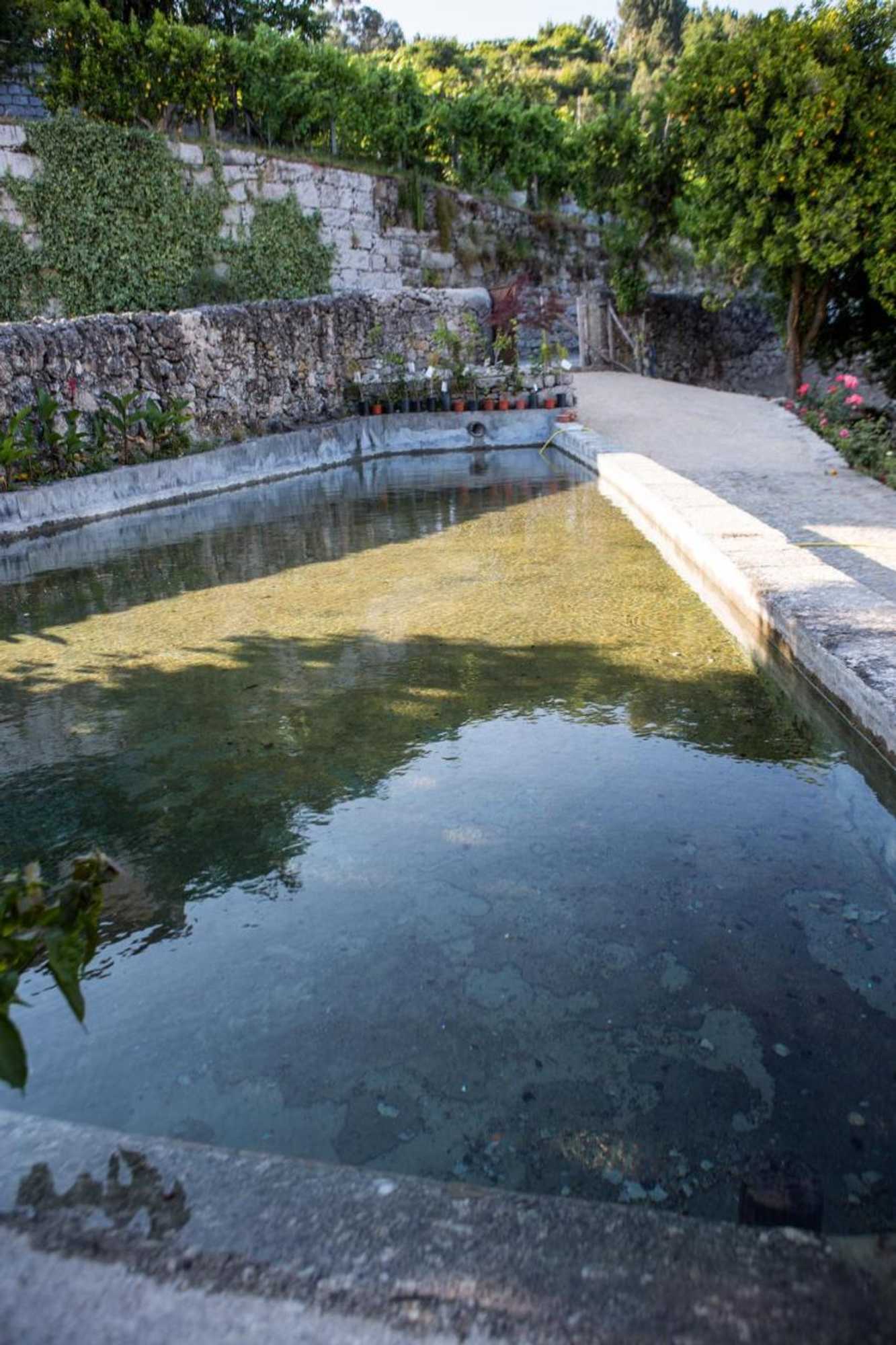 Gift card for Quinta da Mata