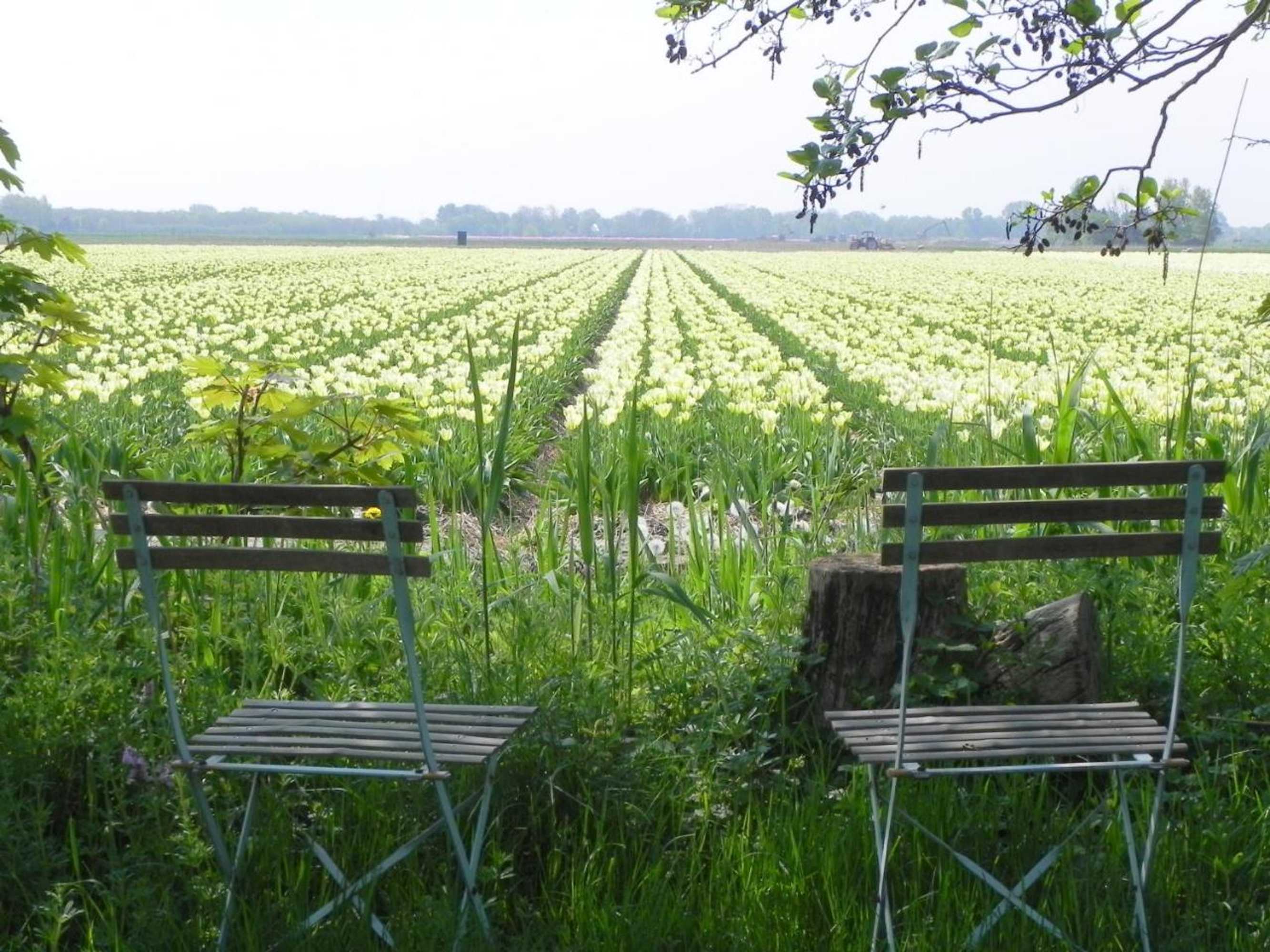 Gift card for Appels en Peren Bed And Breakfast