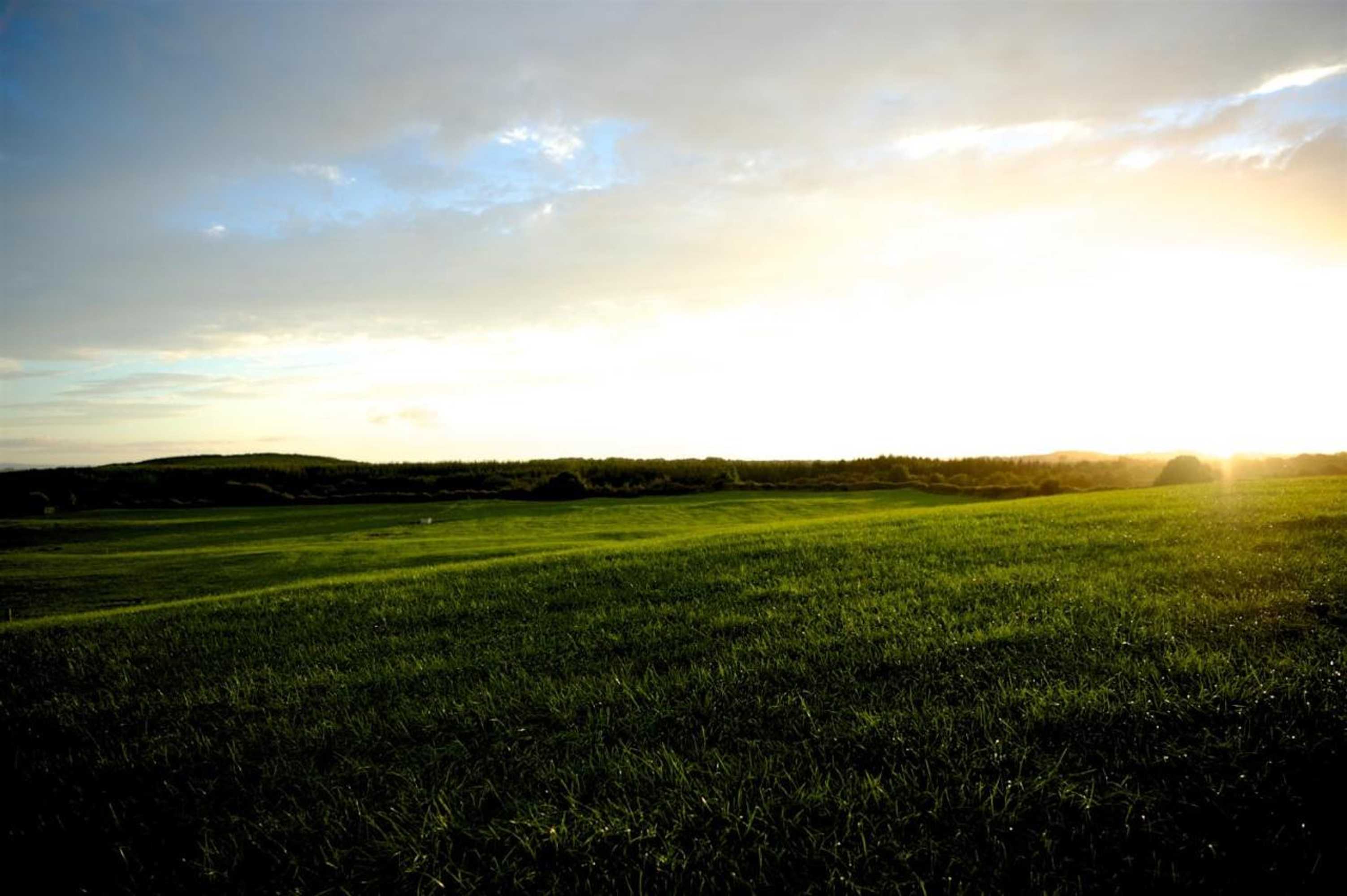 Gift card for Bunratty Meadows Bed & Breakfast