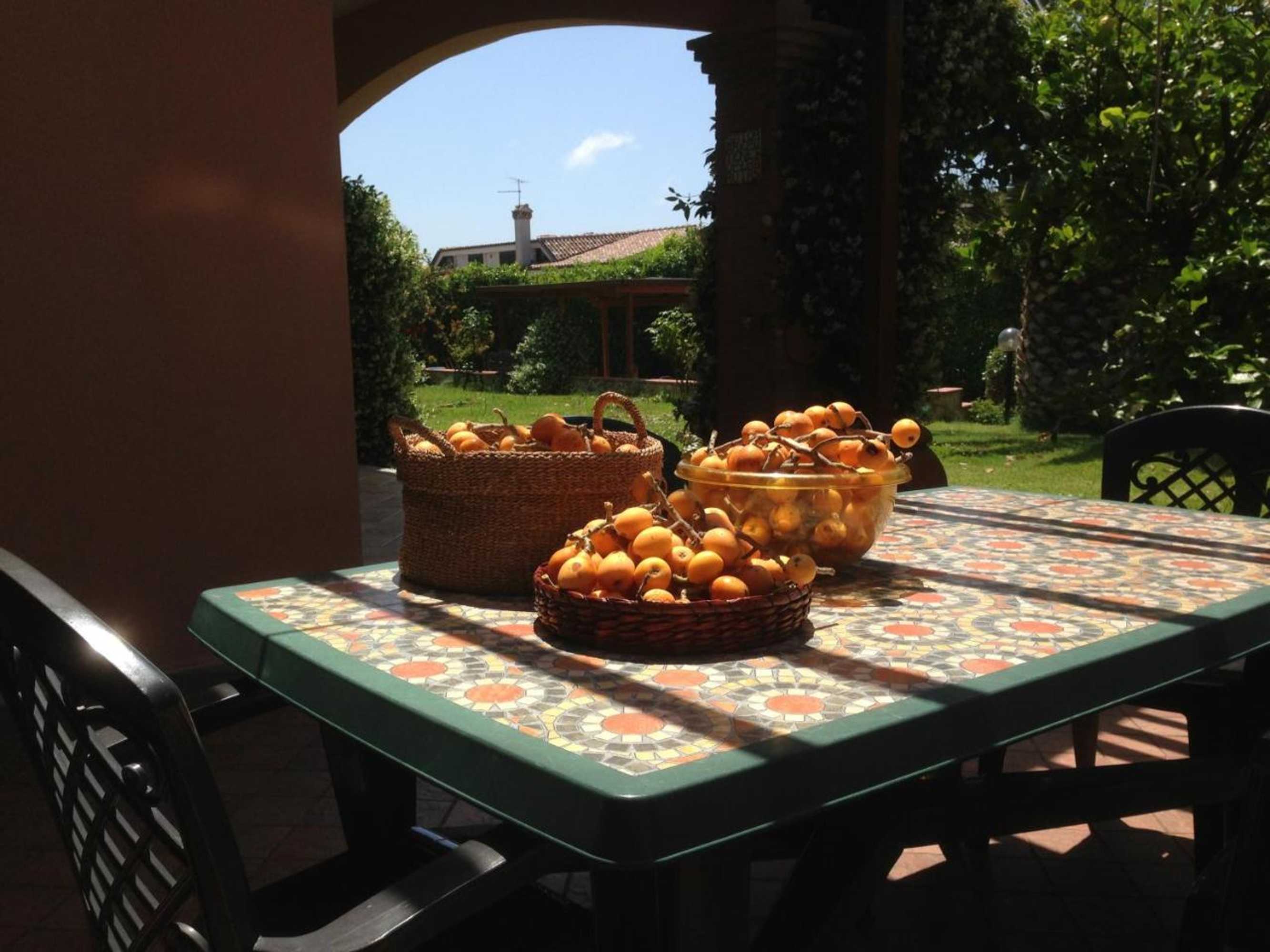 Gift card for B&b Sedici Pini