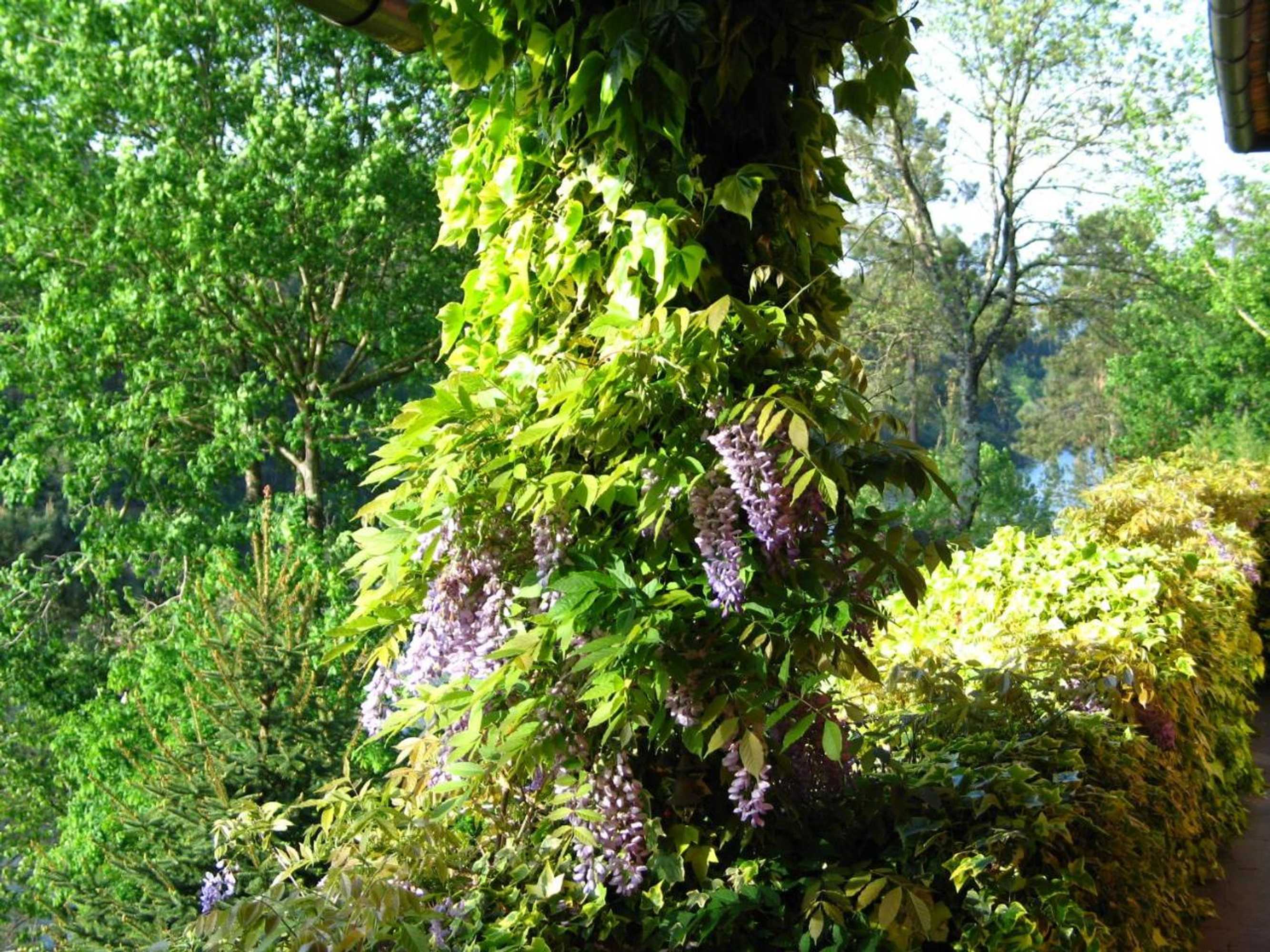 Gift card for Casa Dos Canais, River Cottage