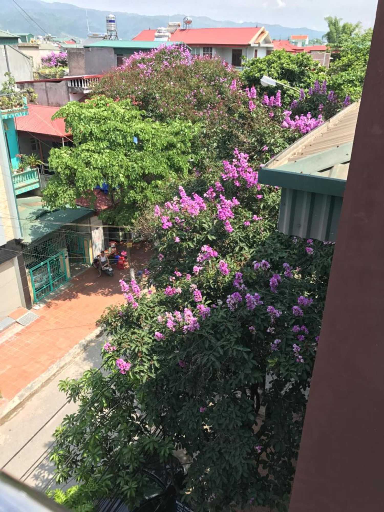 Gift card for Tuan Minh Guest House