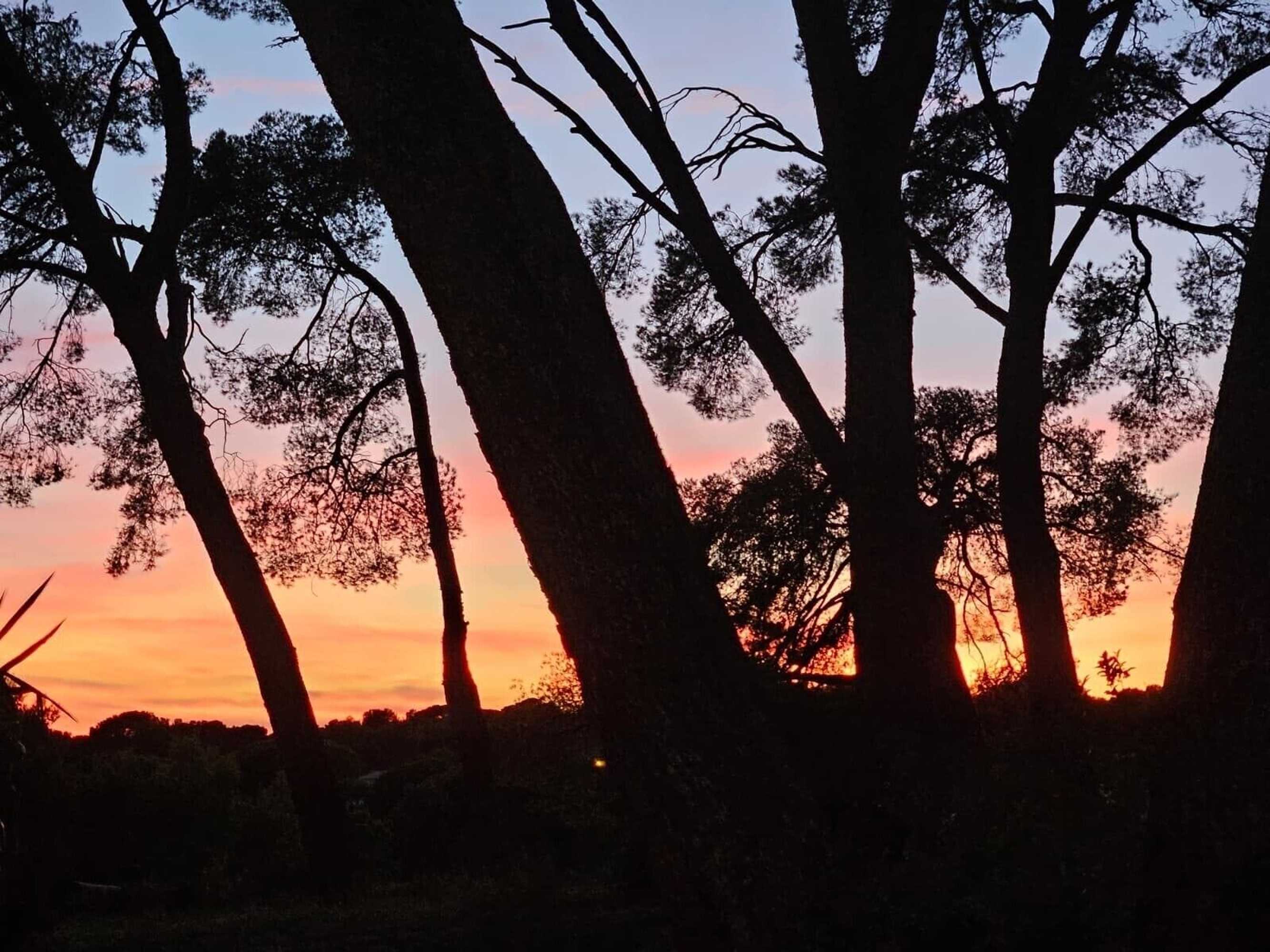 Gift card for Grand Hotel Des Lecques, BW Signature Collection Gift card for Grand Hotel Des Lecques, BW Signature Collection