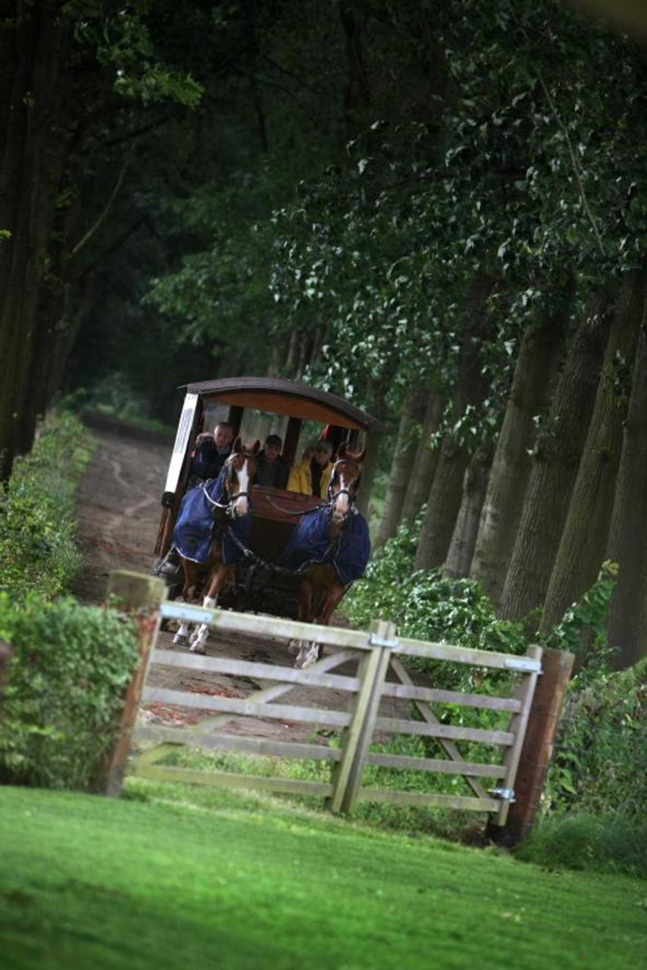 Gift card for 15 Inn