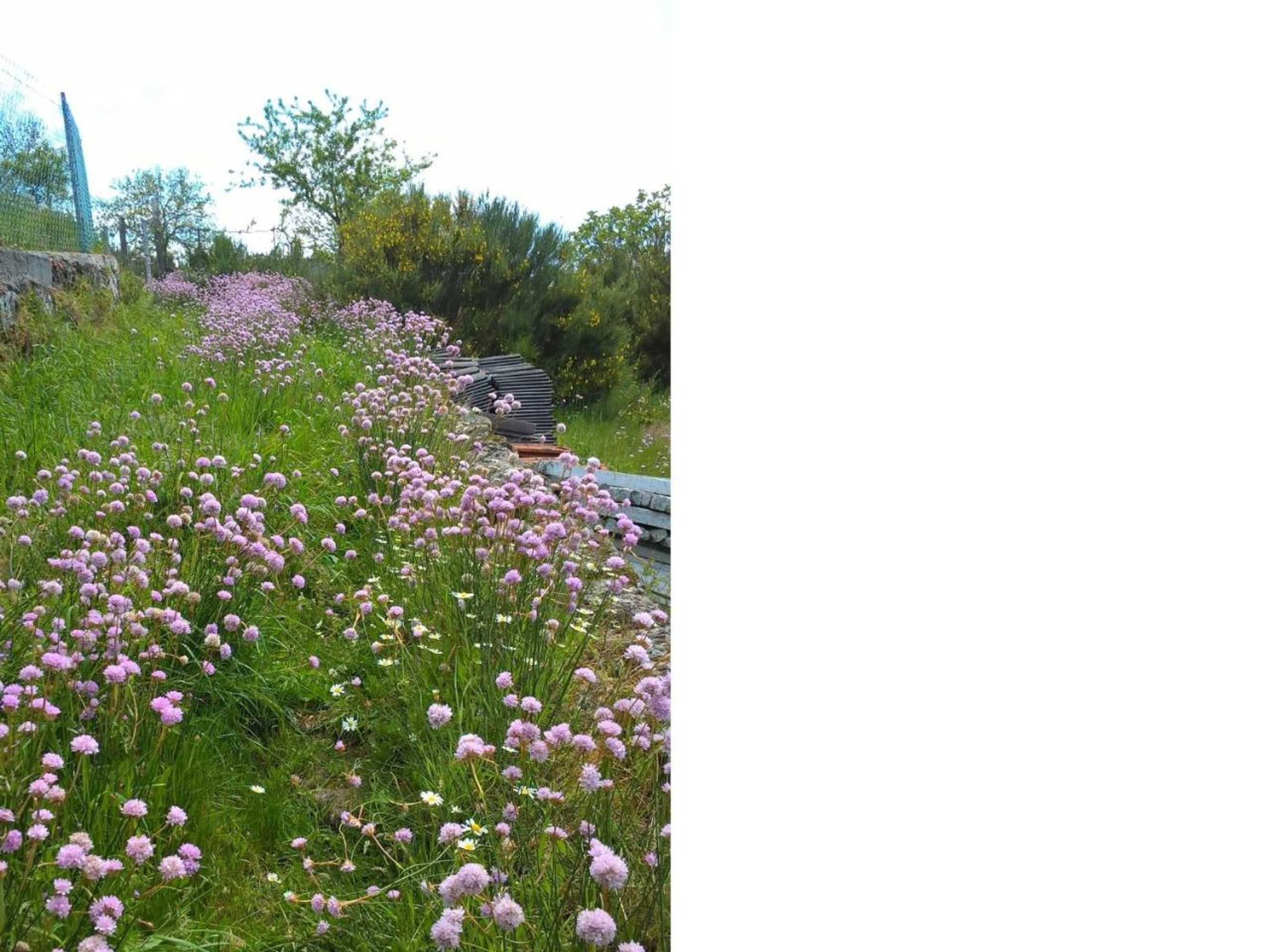 Gift card for Isatour Casa na Serra