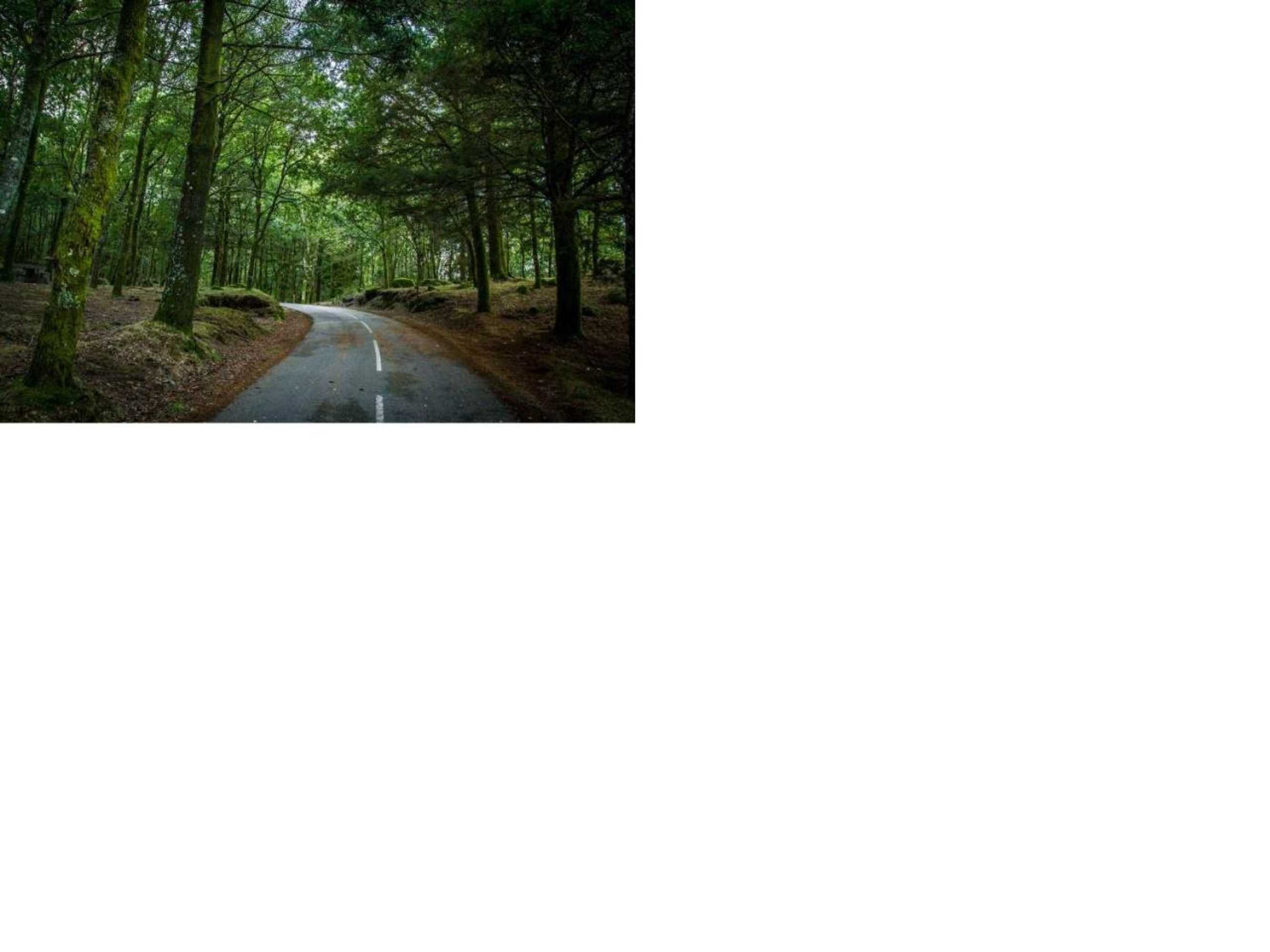 Gift card for Isatour Casa na Serra