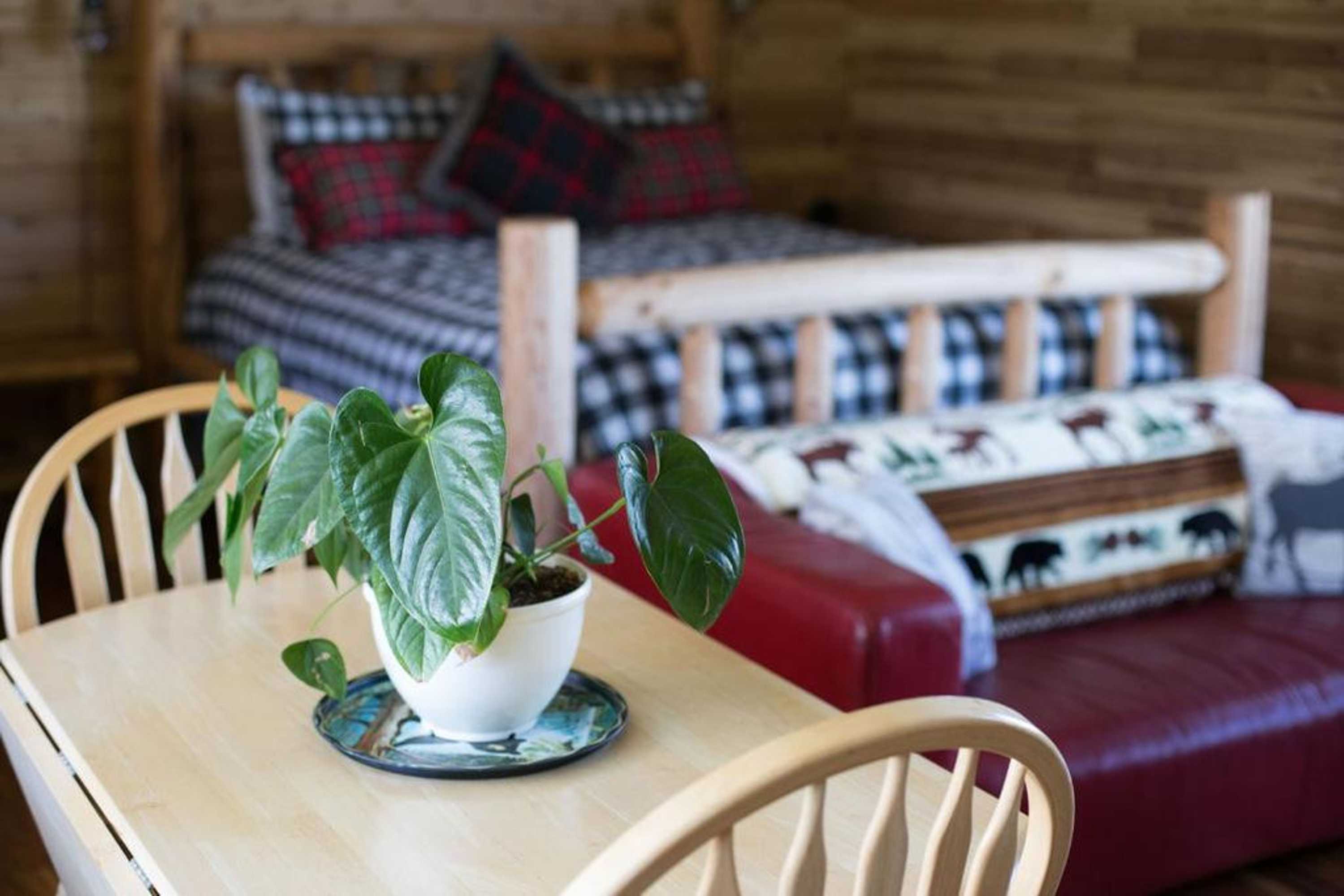 Gift card for Dungeness Bay Cottages