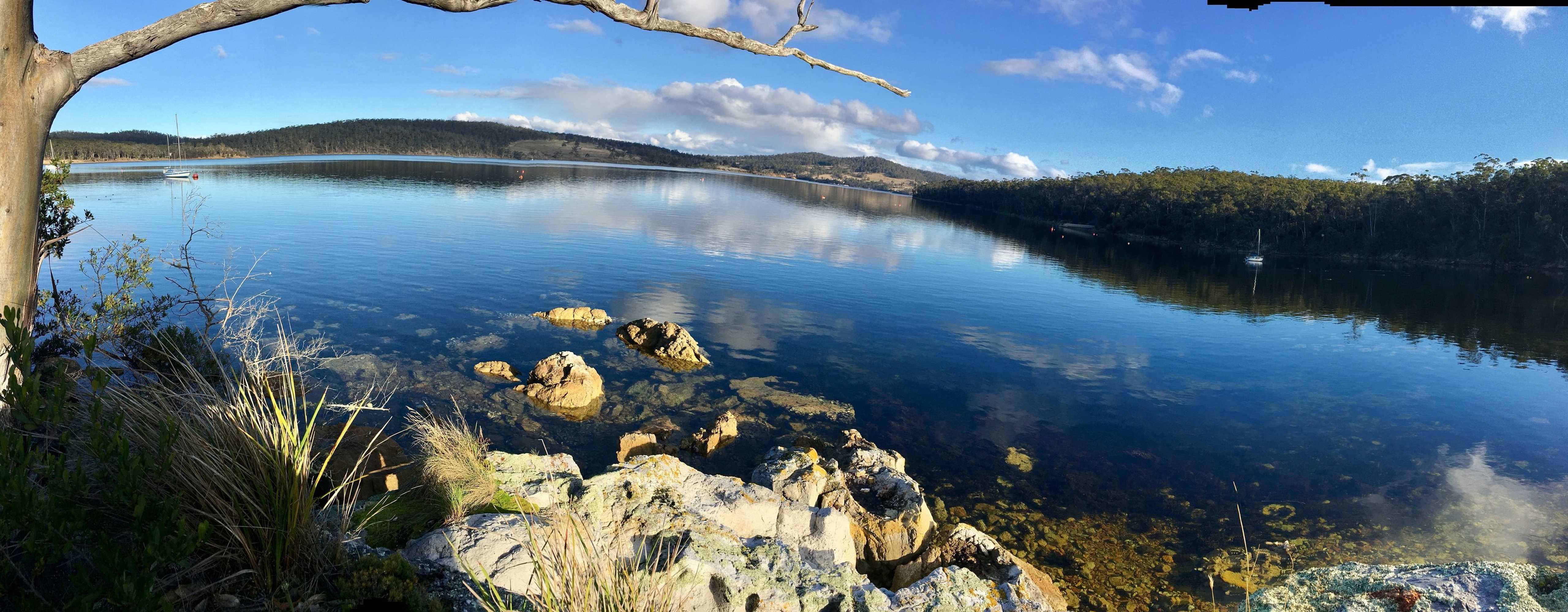 Gift card for Free Spirit Pods