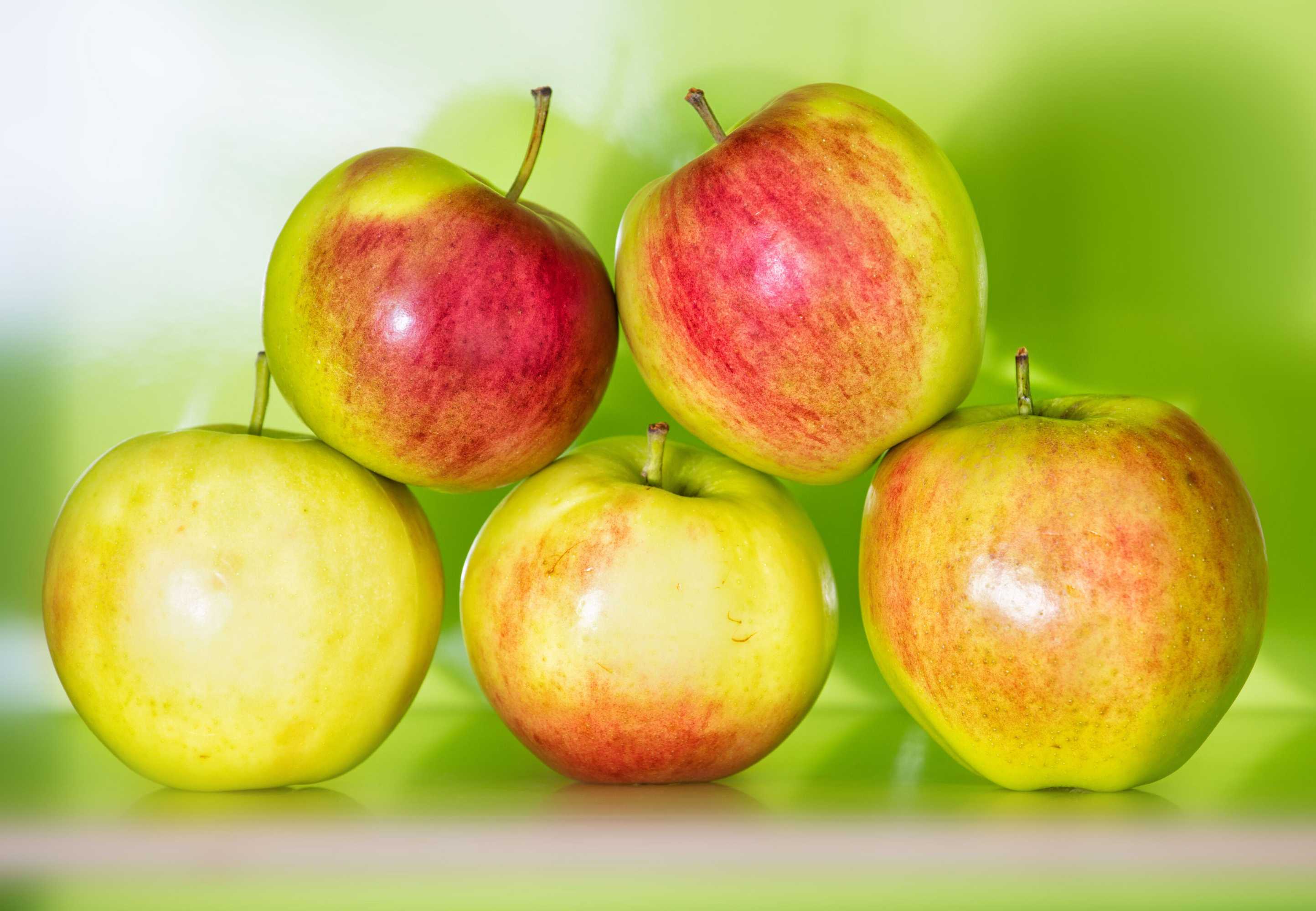 Gift card for Flexy.motel Wil