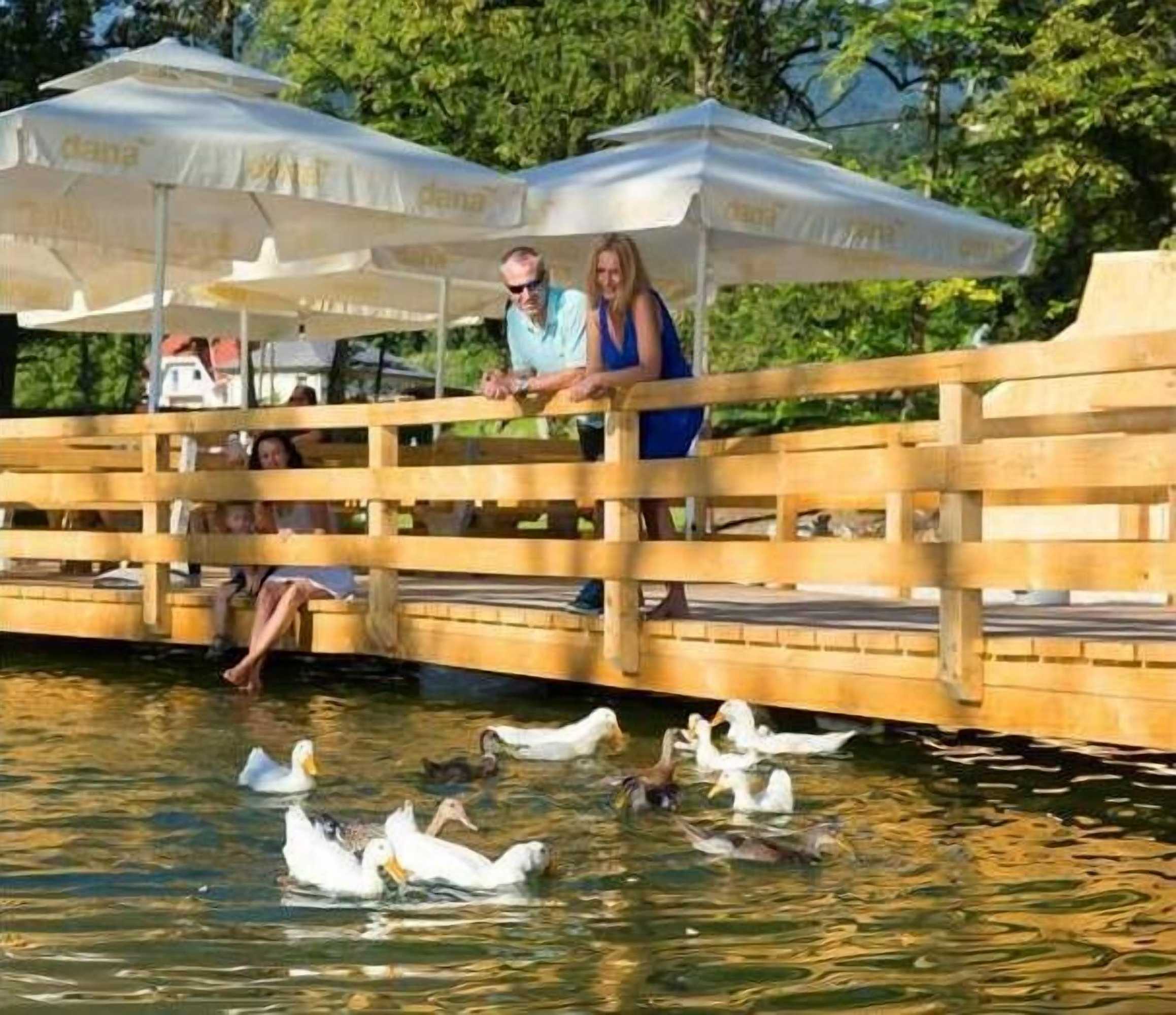 Gift card for Slovenia Eco Resort Gift card for Slovenia Eco Resort