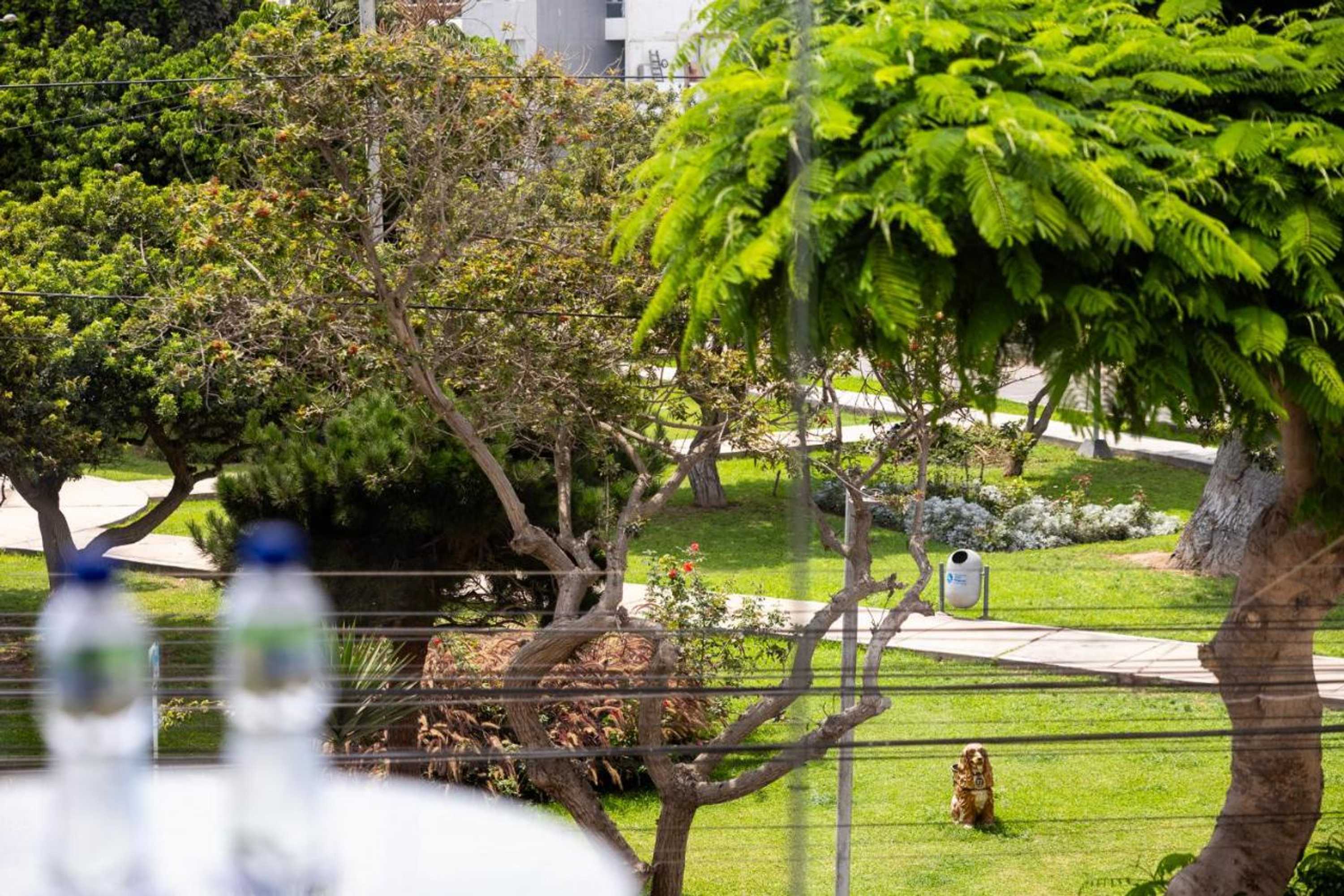 Gift card for Awanka Hotel San Miguel