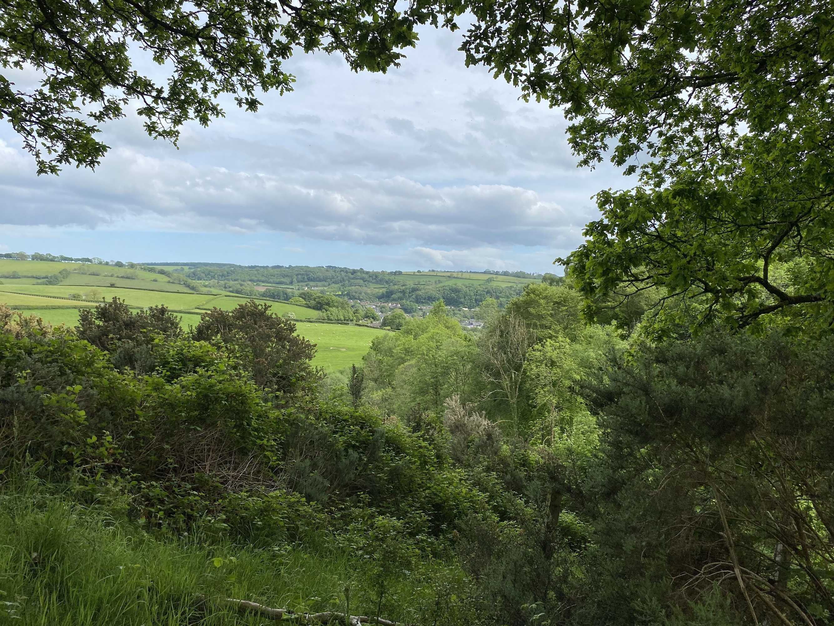 Gift card for Six on Castle