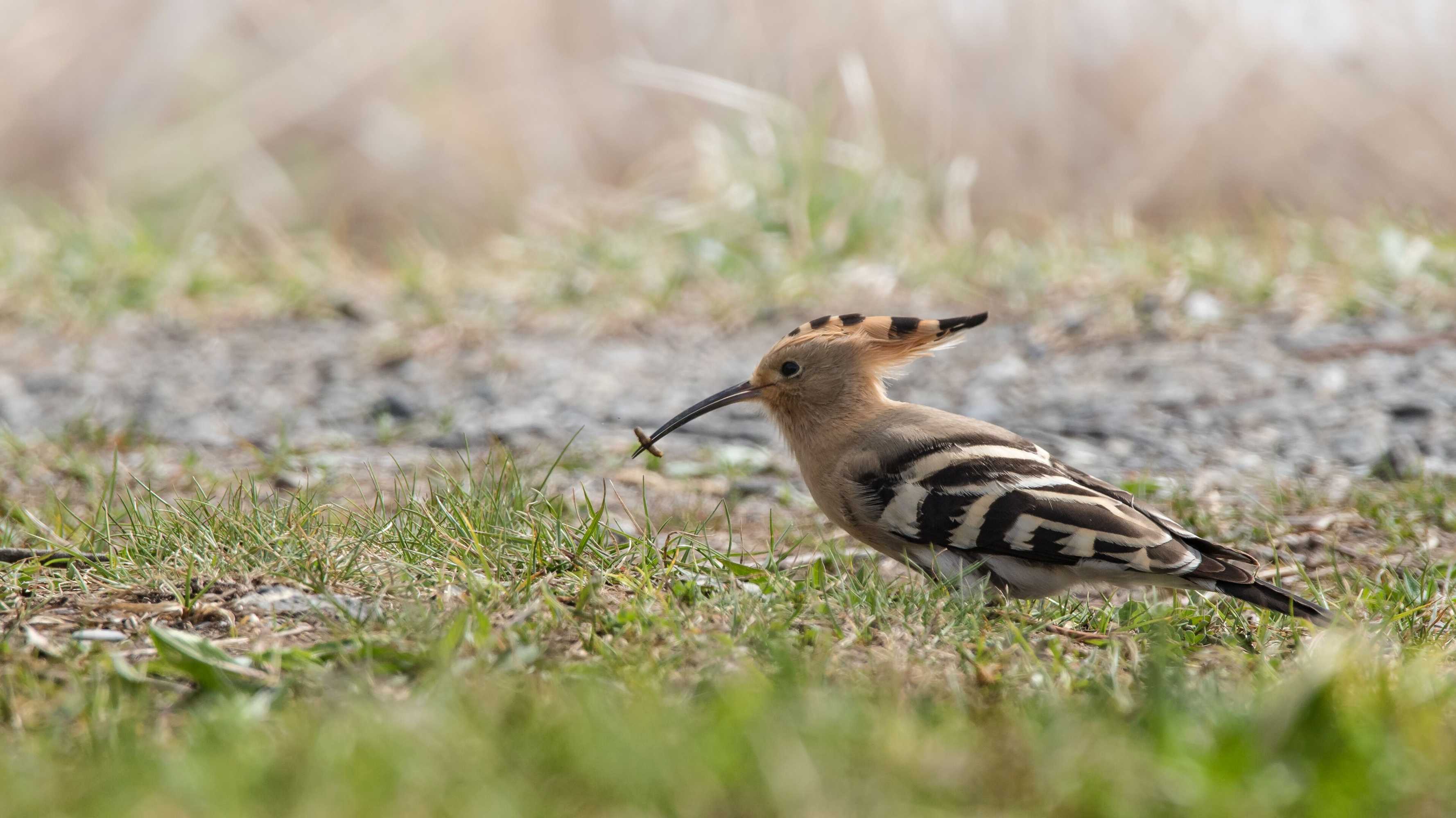 Gift card for Steigmatt Bauernhof - Erlebnis