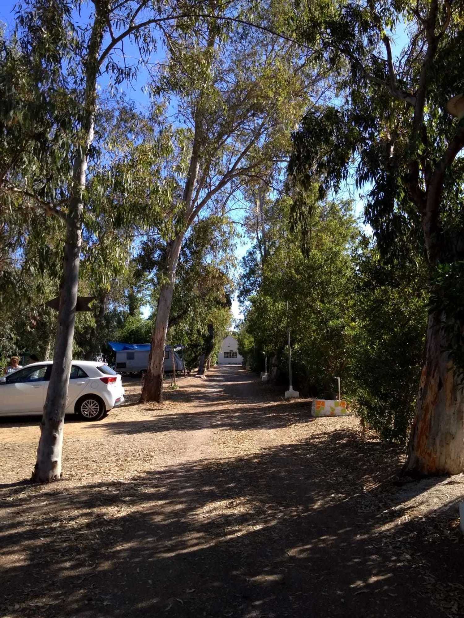 Gift card for Camping la Naranja Gift card for Camping la Naranja