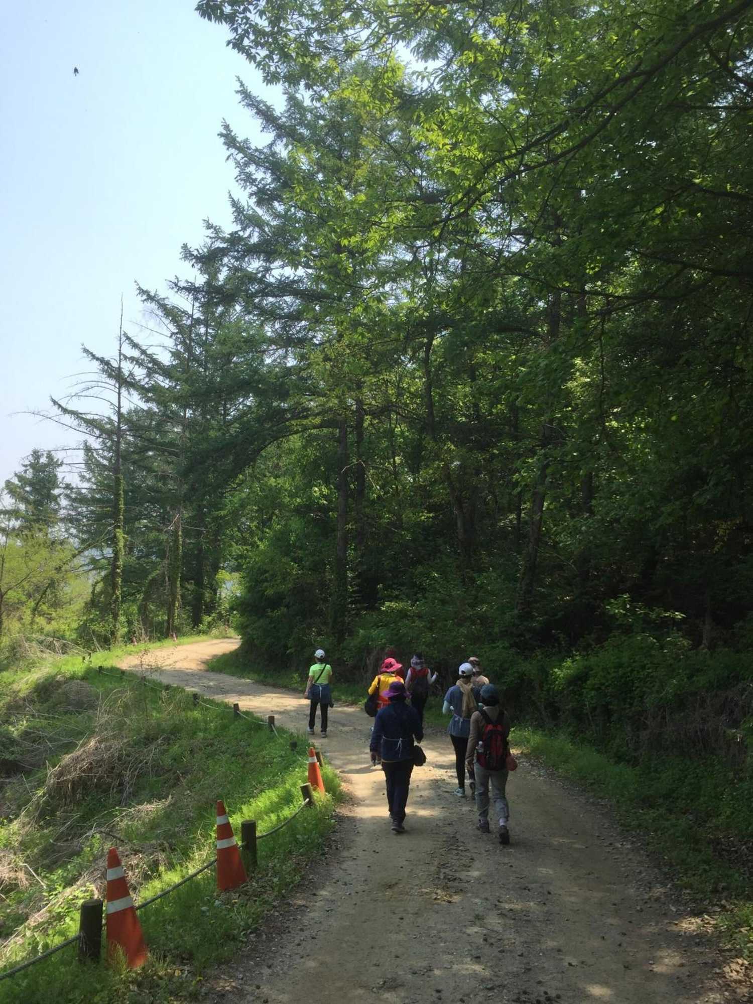 Gift card for The Guesthouse Dmz Stay - Hostel