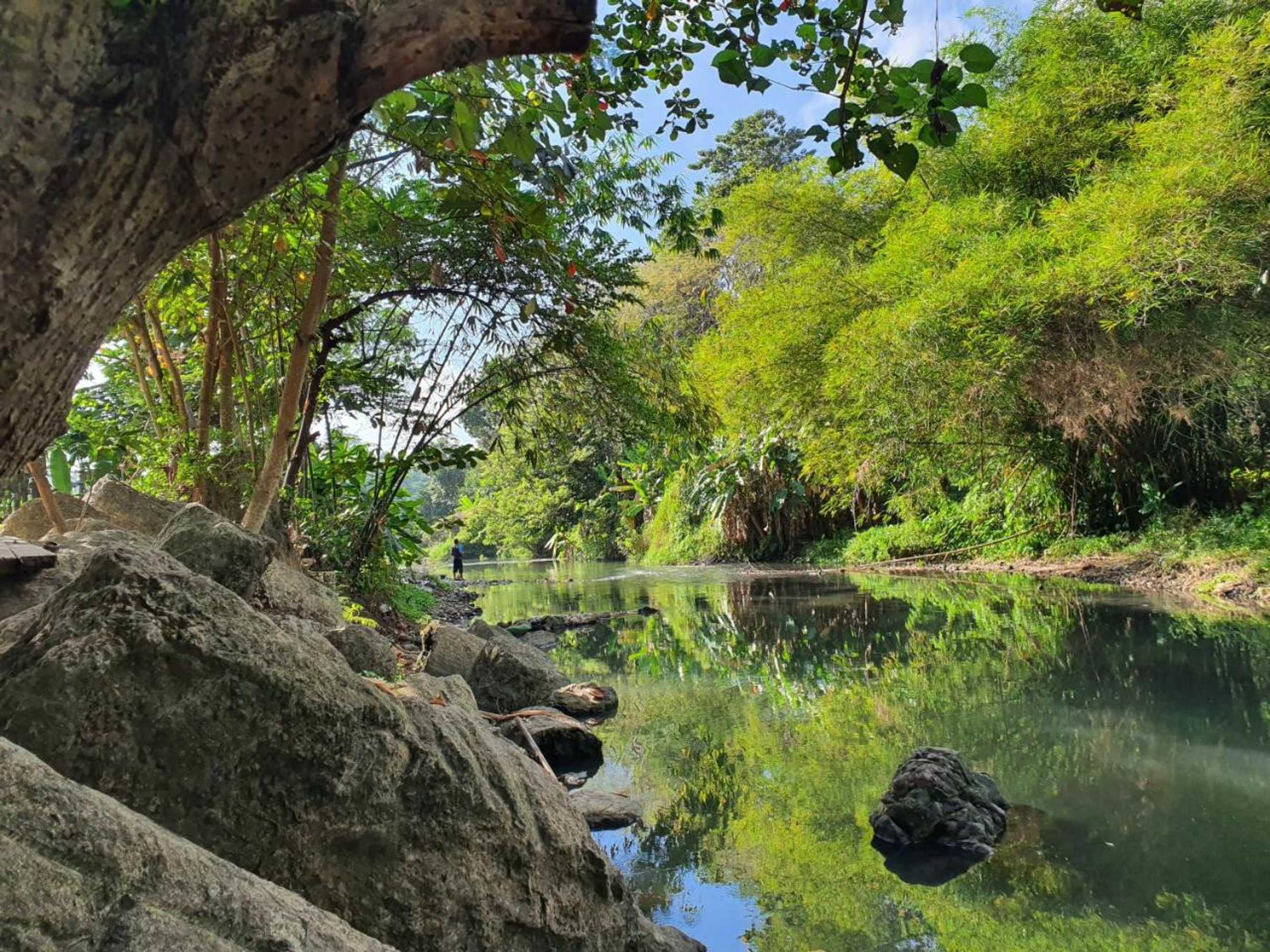 Gift card for Villa Alicia Gift card for Villa Alicia