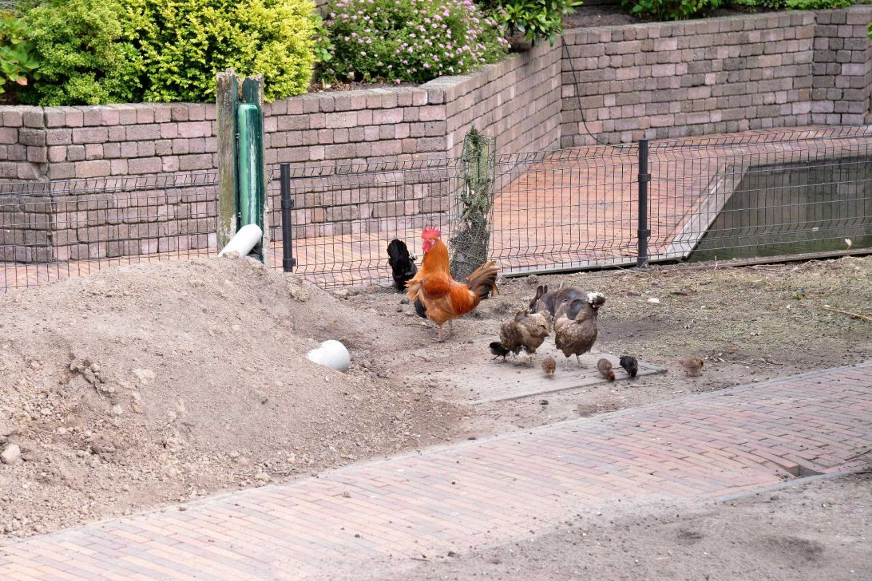 Gift card for Guest House Aan de Hollandse Ijssel